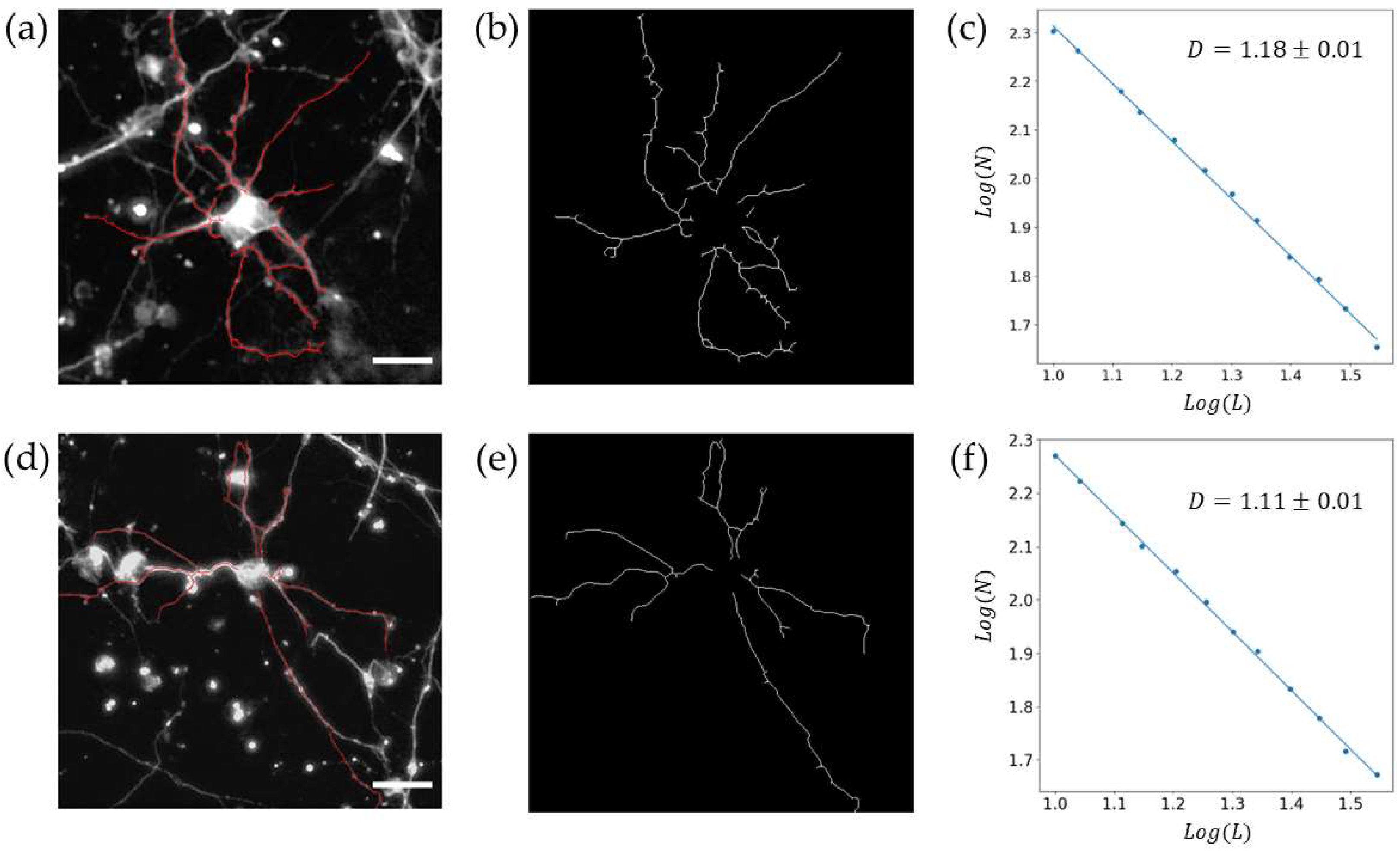Bioengineering 11 00823 g006