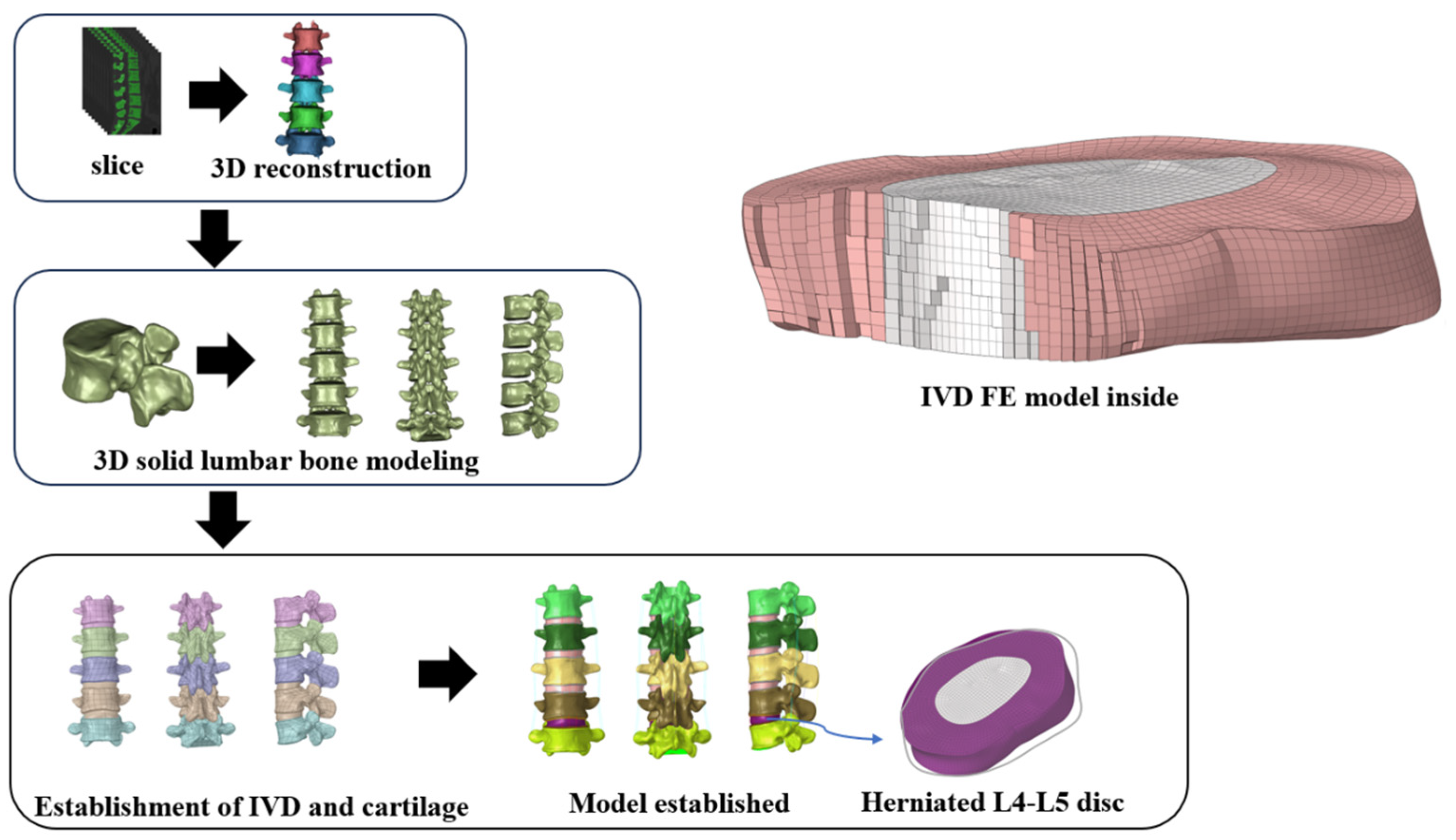 Bioengineering 11 00825 g002 Bioengineering 11 00825 g002