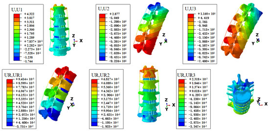 Biomechanical Study of Symmetric Bending and Lifting Behavior in