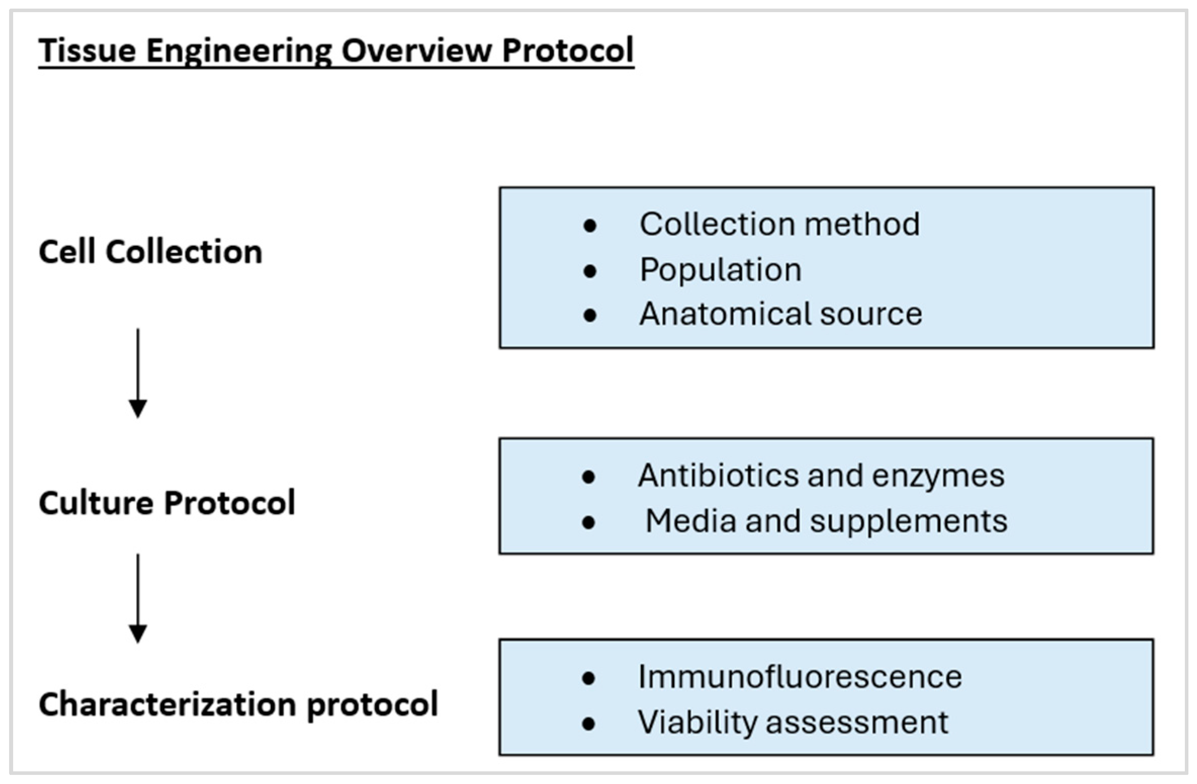 Bioengineering 11 00826 g002 Bioengineering 11 00826 g002