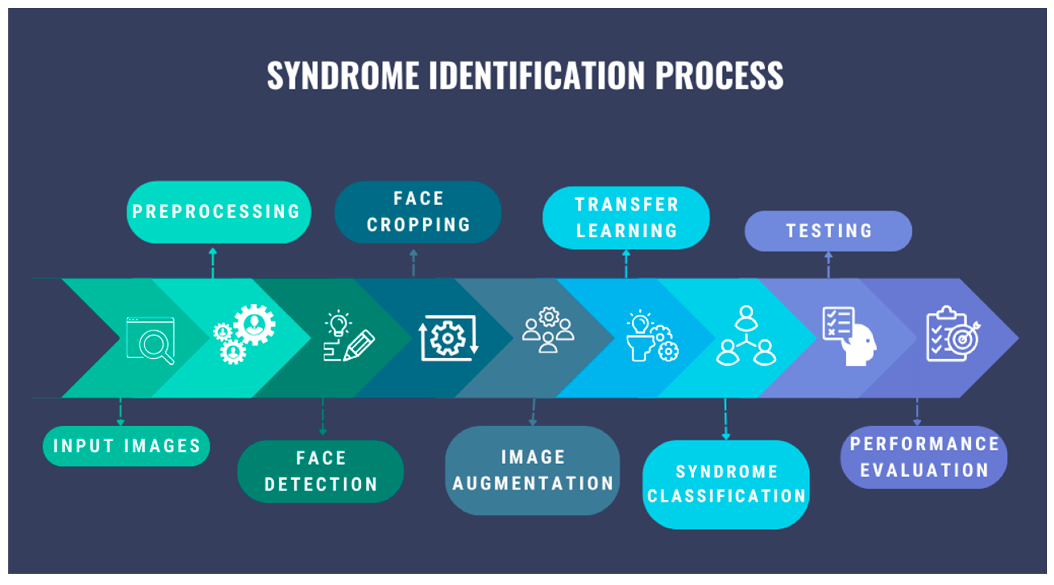 Bioengineering 11 00827 g002