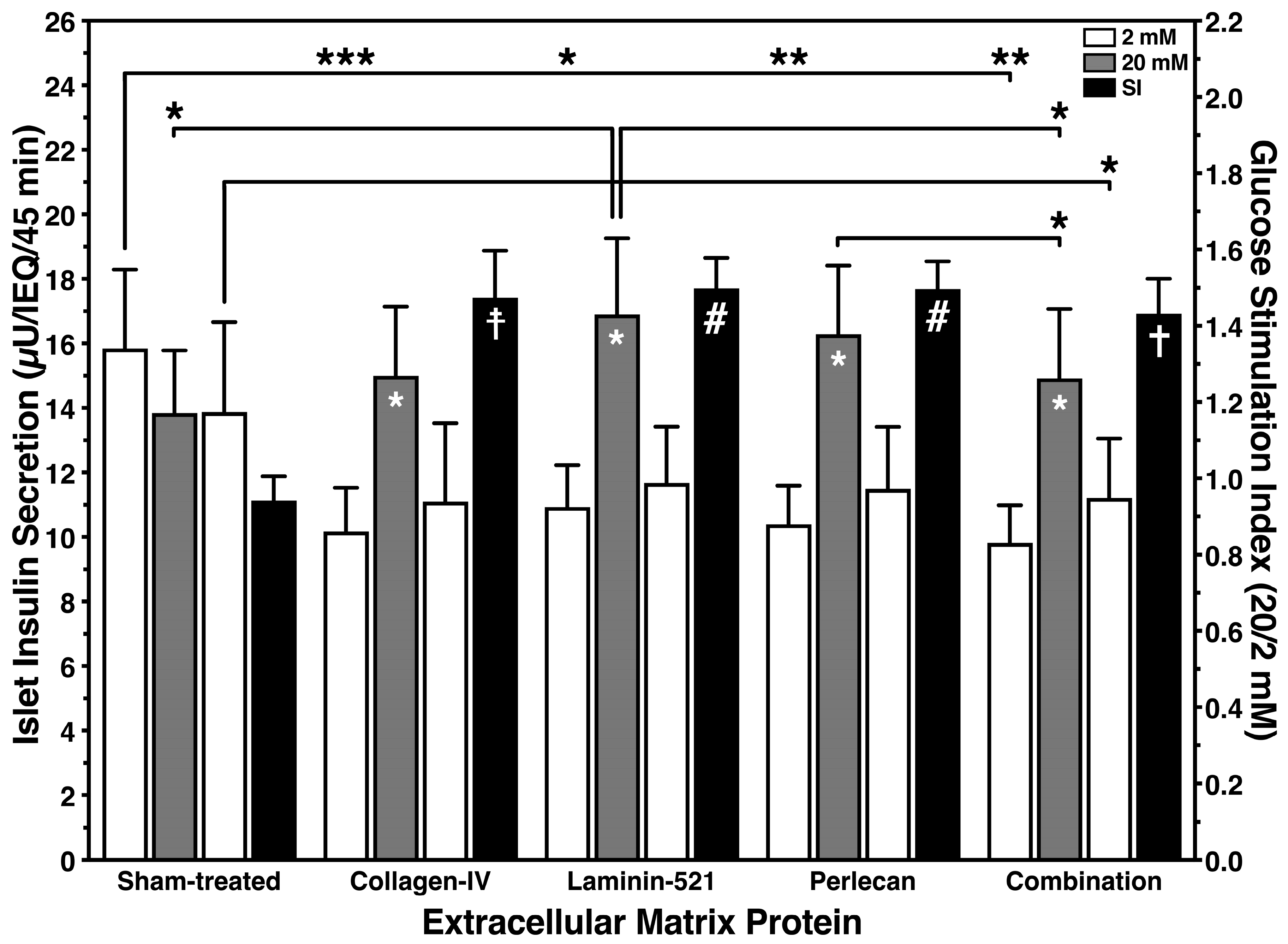 Bioengineering 11 00828 g004