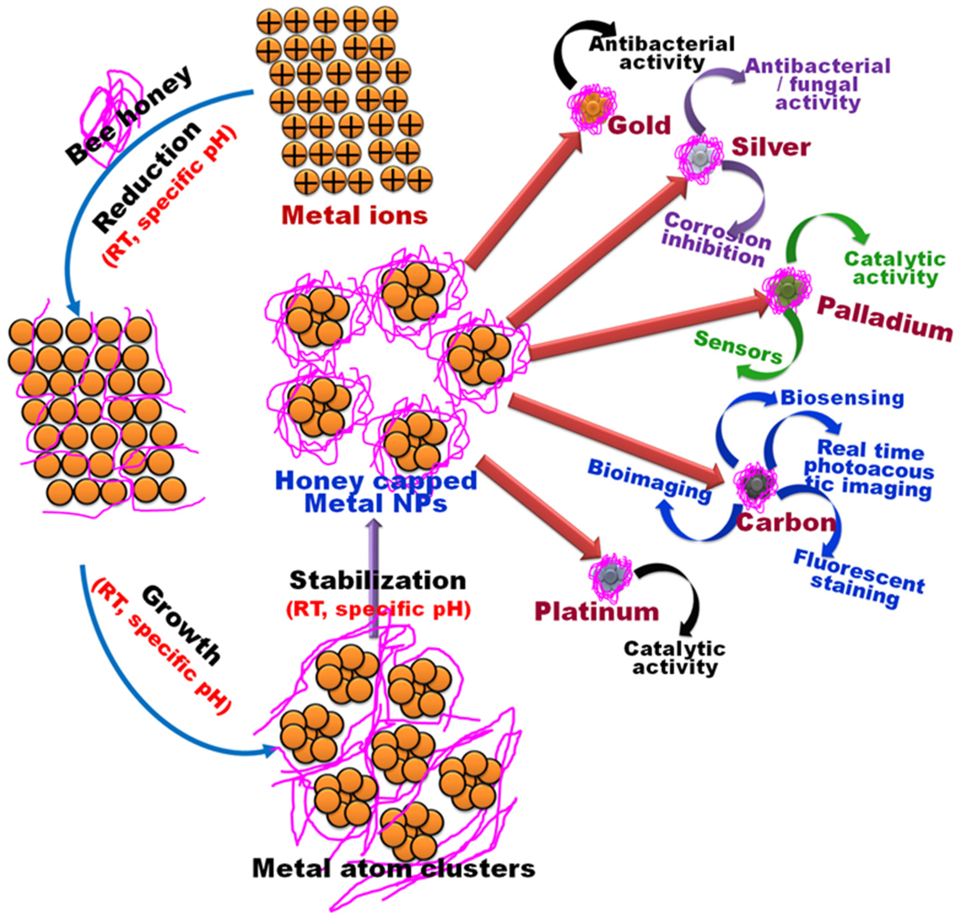 Bioengineering 11 00829 g003