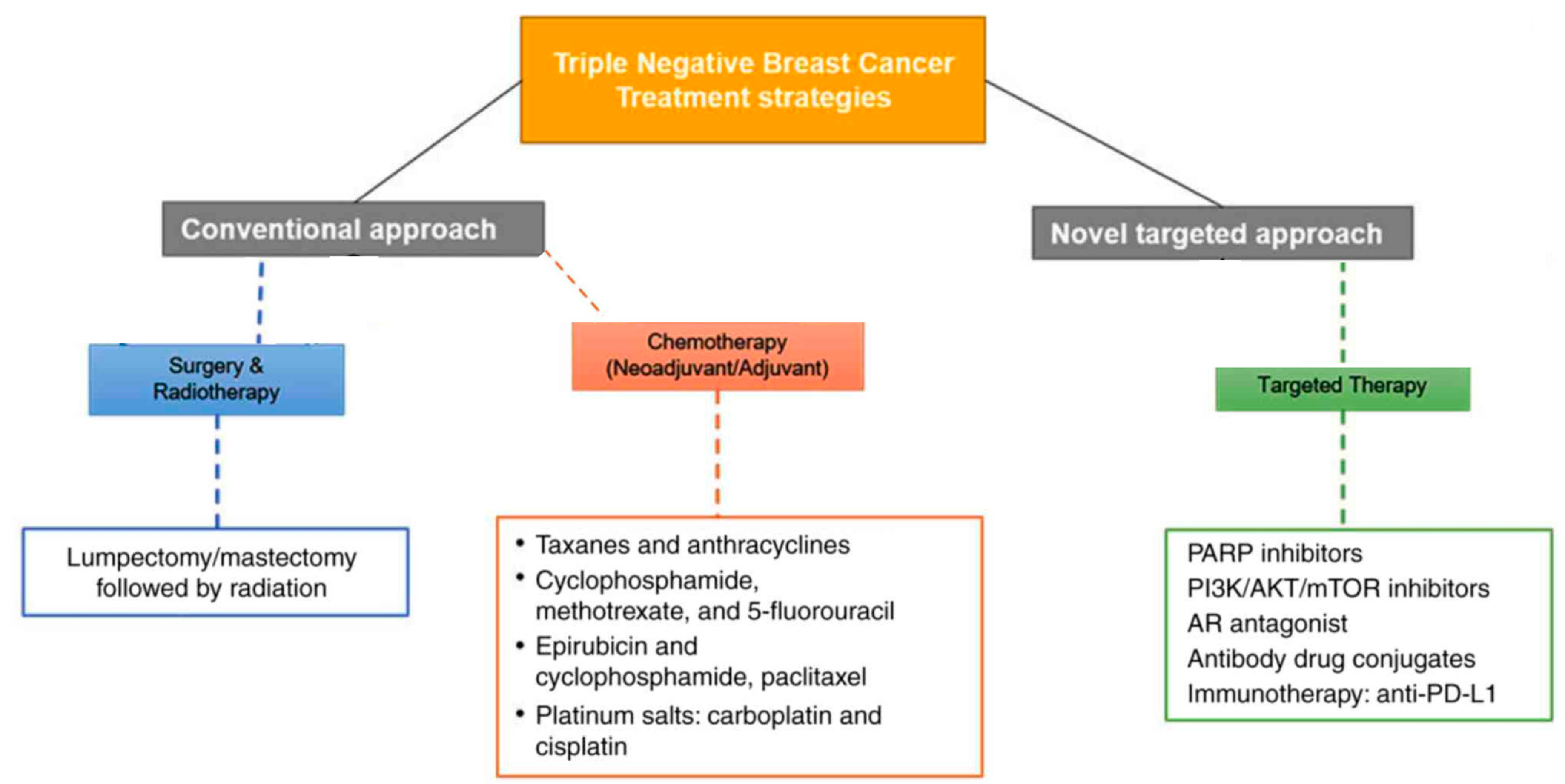 Bioengineering 11 00830 g001