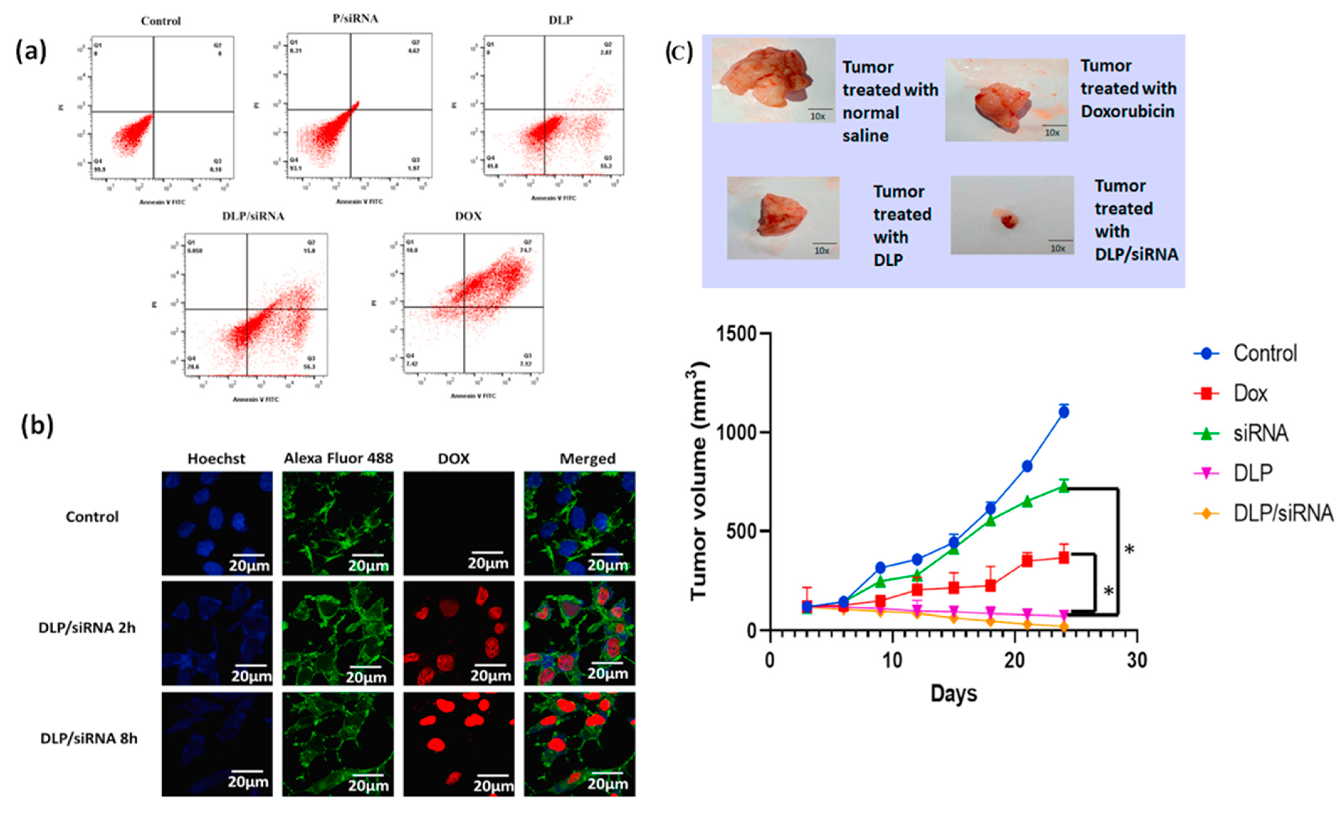 Bioengineering 11 00830 g004