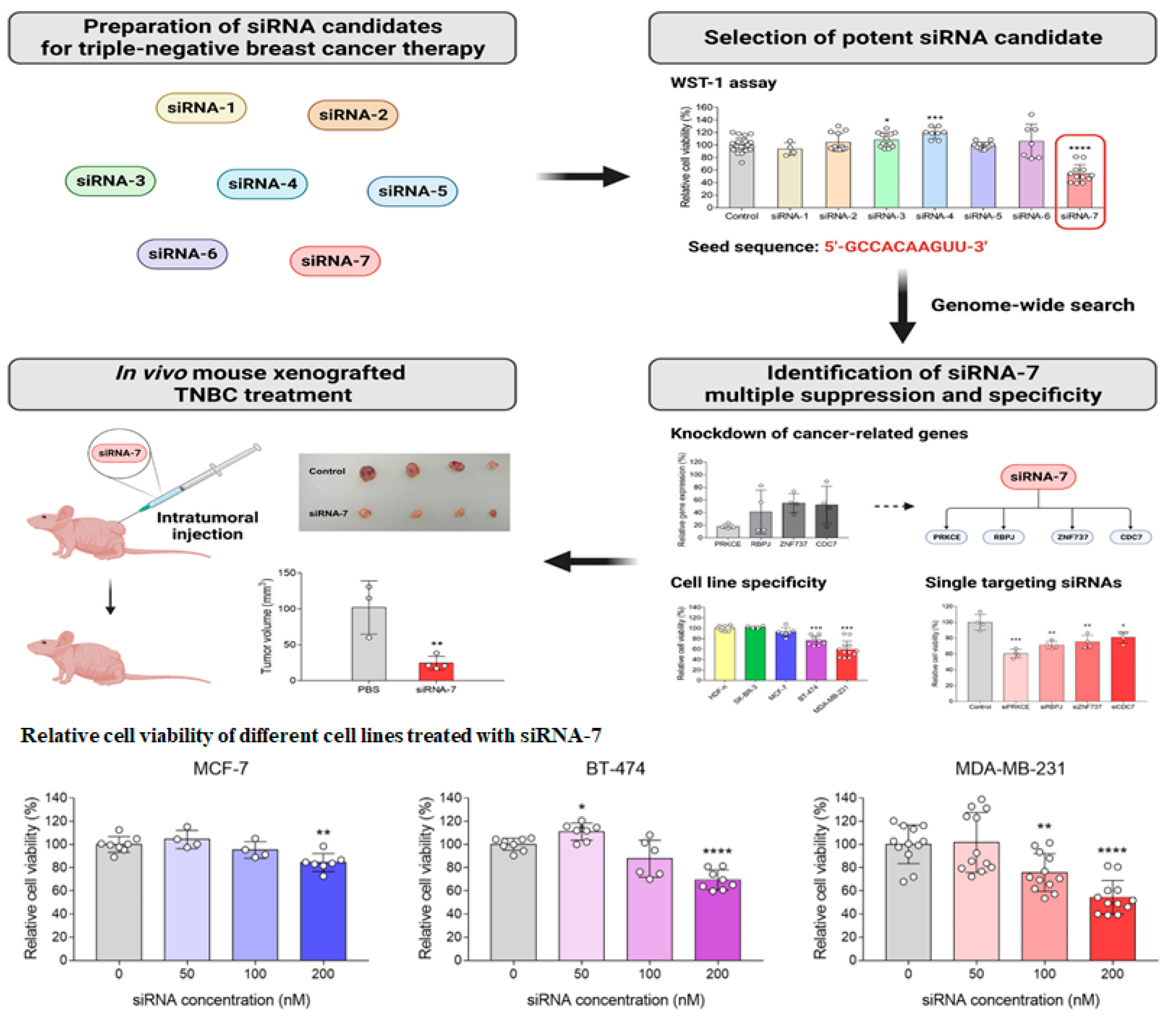 Bioengineering 11 00830 g005