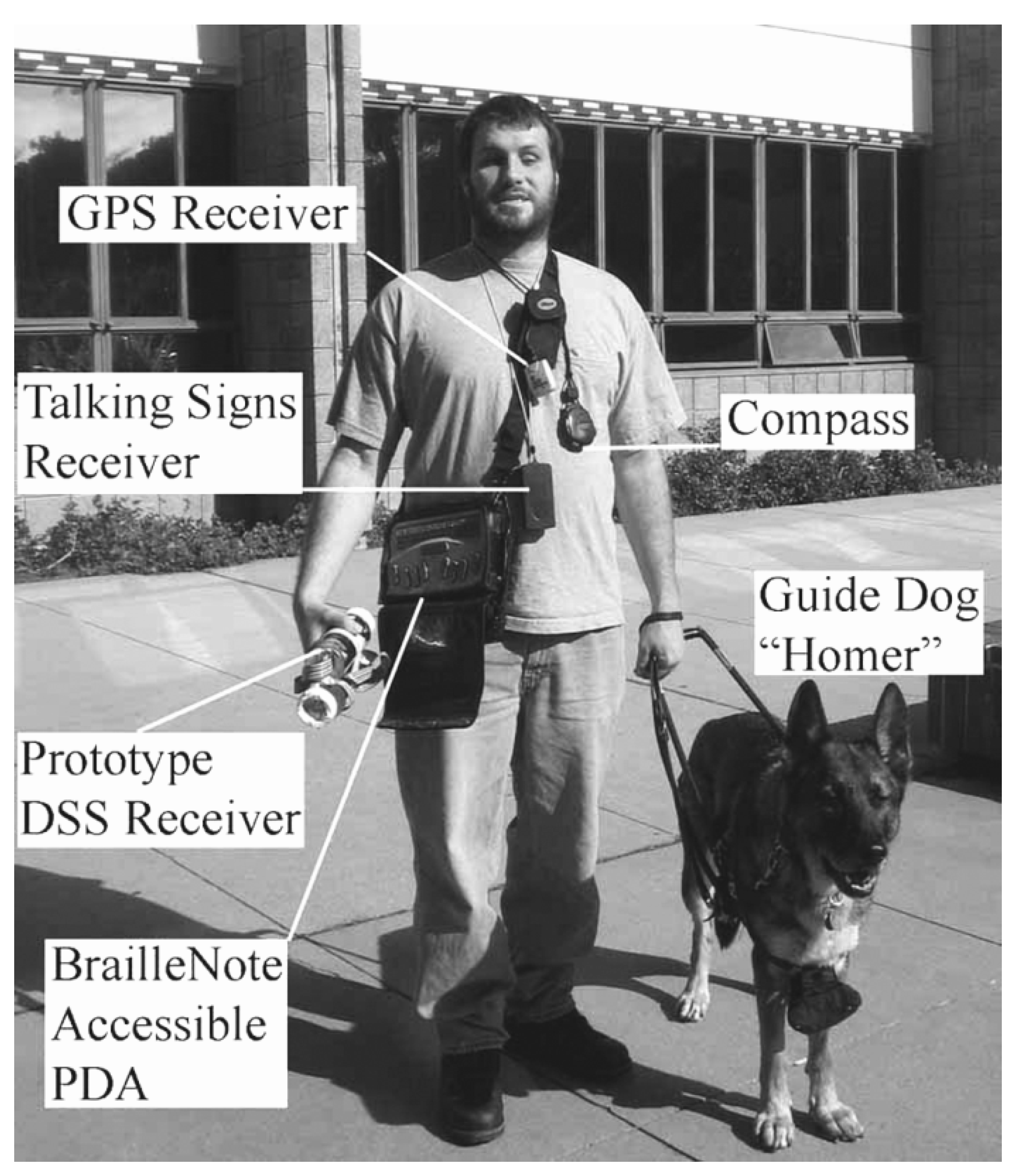 Bioengineering 11 00831 g001