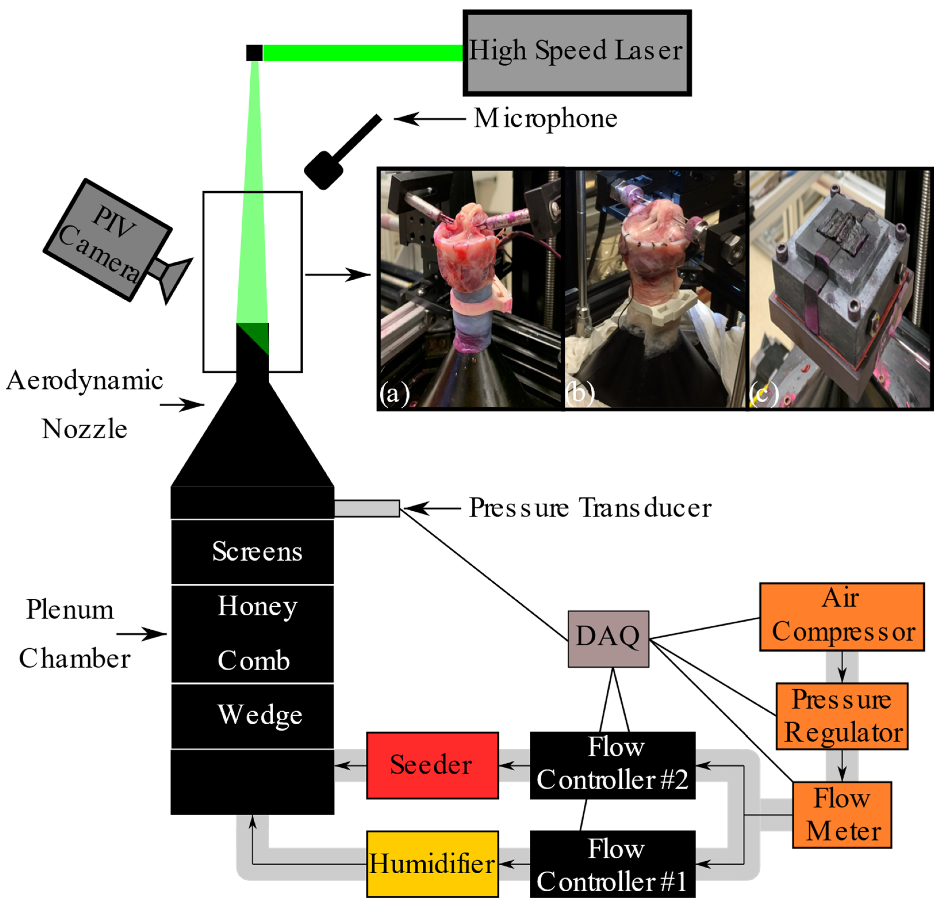 Bioengineering 11 00834 g001 Bioengineering 11 00834 g001