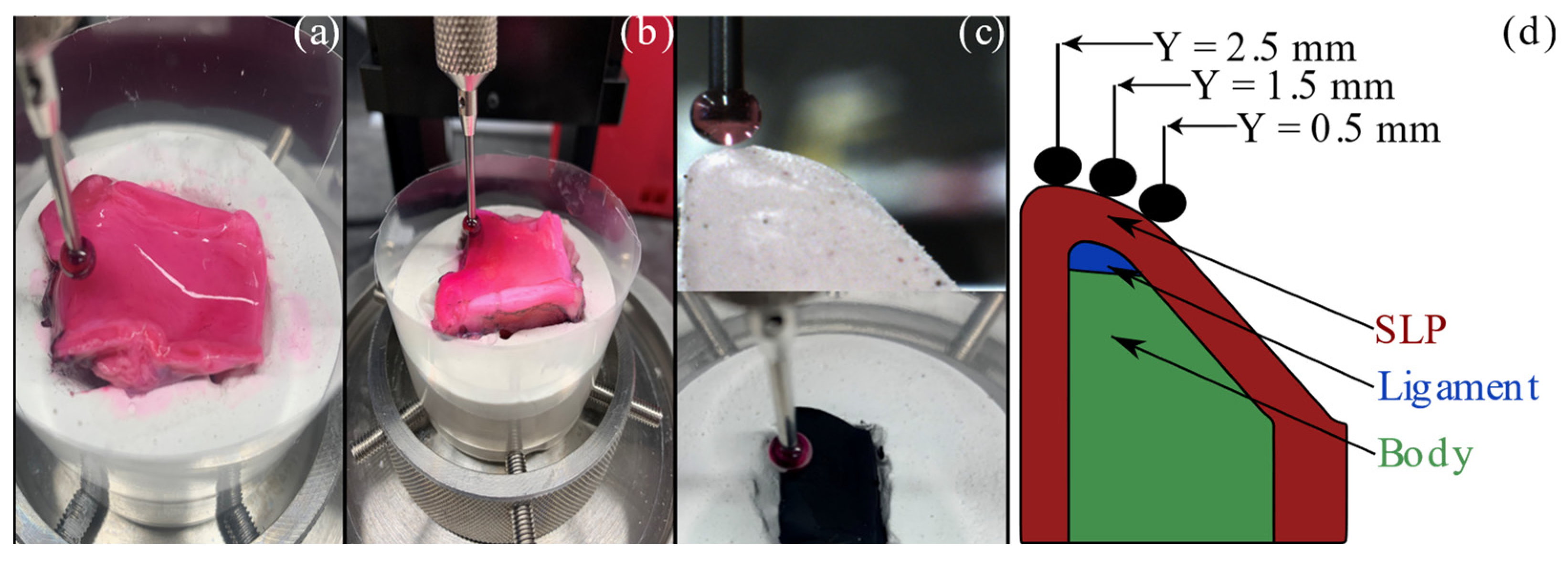 Bioengineering 11 00834 g002 Bioengineering 11 00834 g002