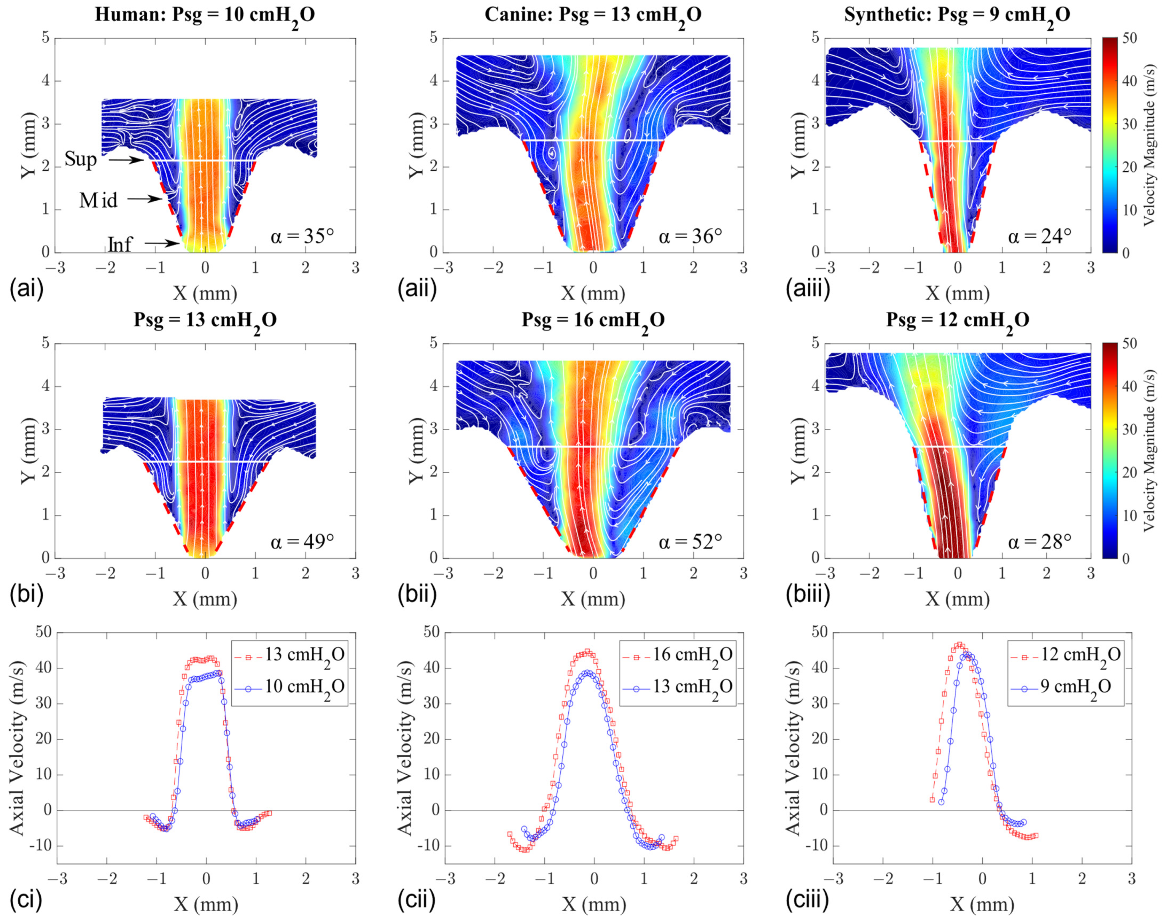 Bioengineering 11 00834 g006 Bioengineering 11 00834 g006