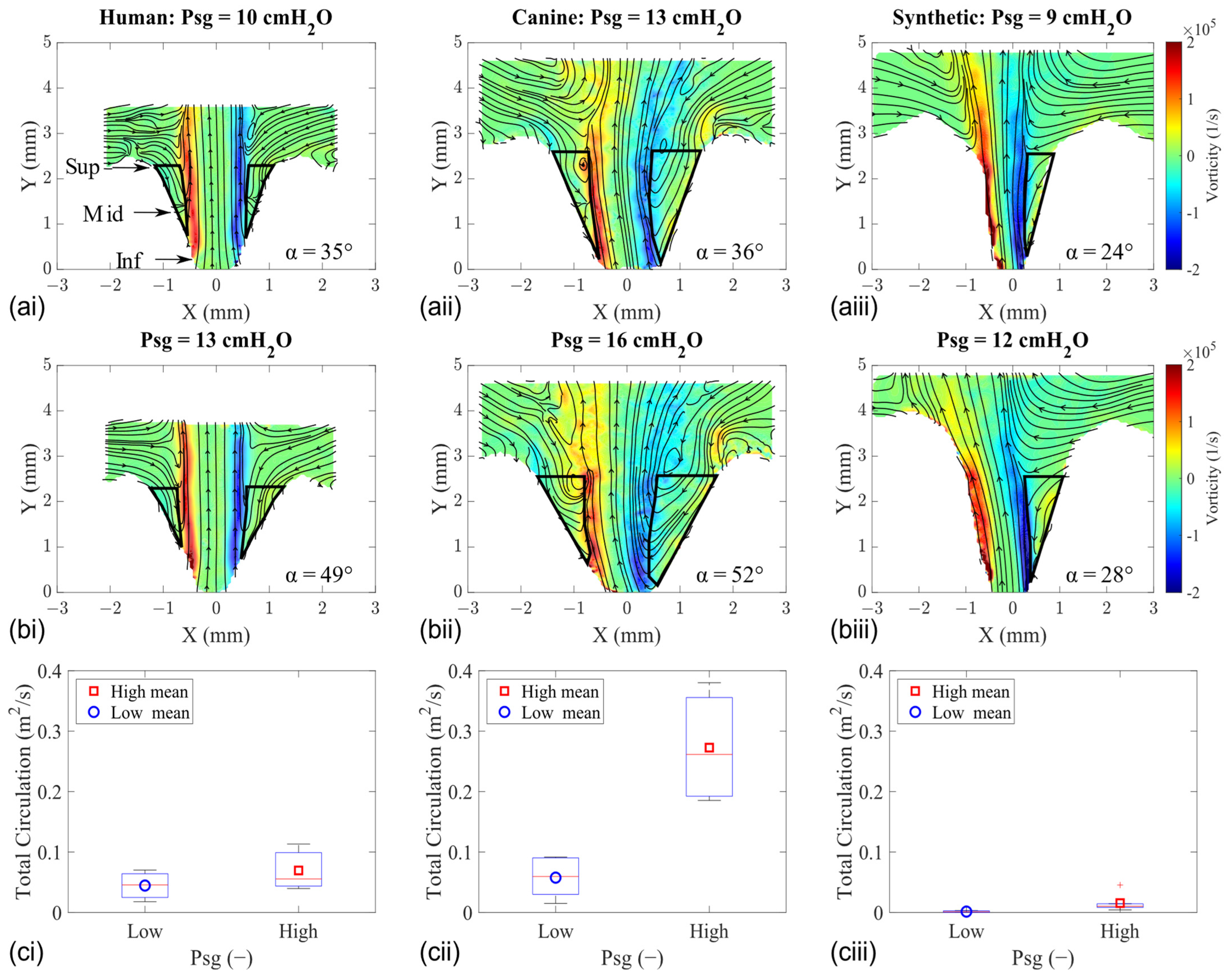 Bioengineering 11 00834 g007 Bioengineering 11 00834 g007