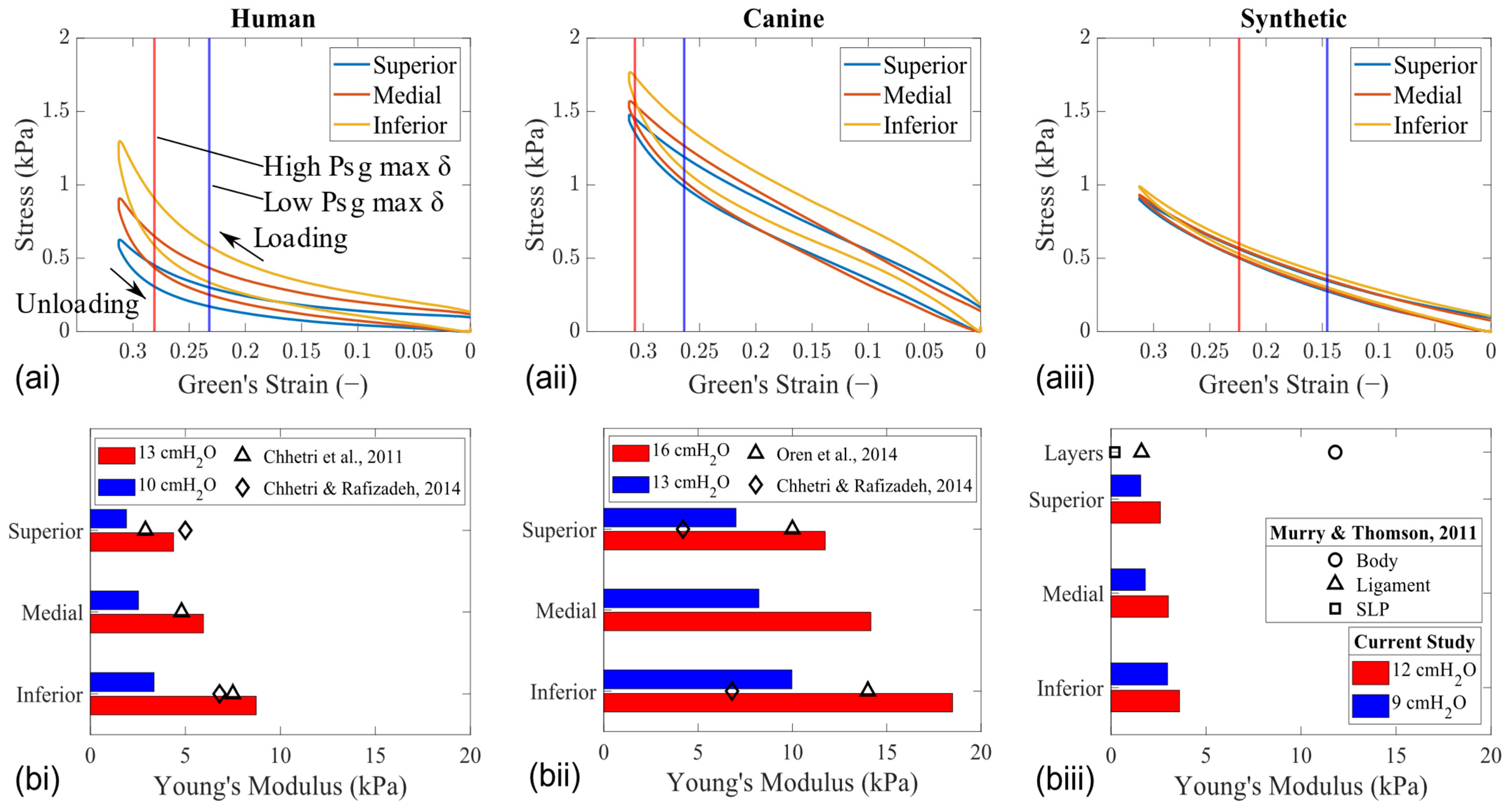 Bioengineering 11 00834 g009 Bioengineering 11 00834 g009
