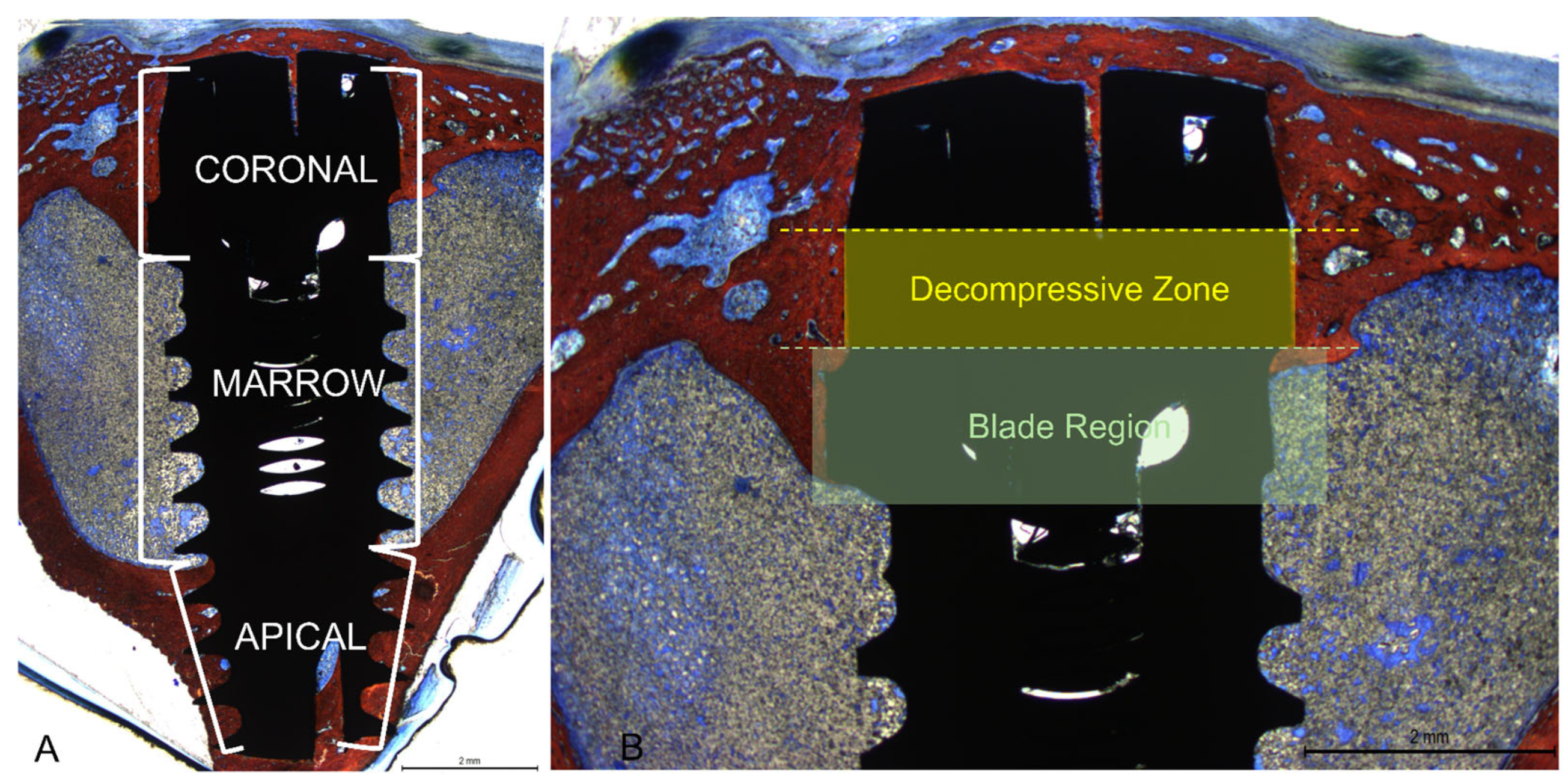 Bioengineering 11 00835 g005
