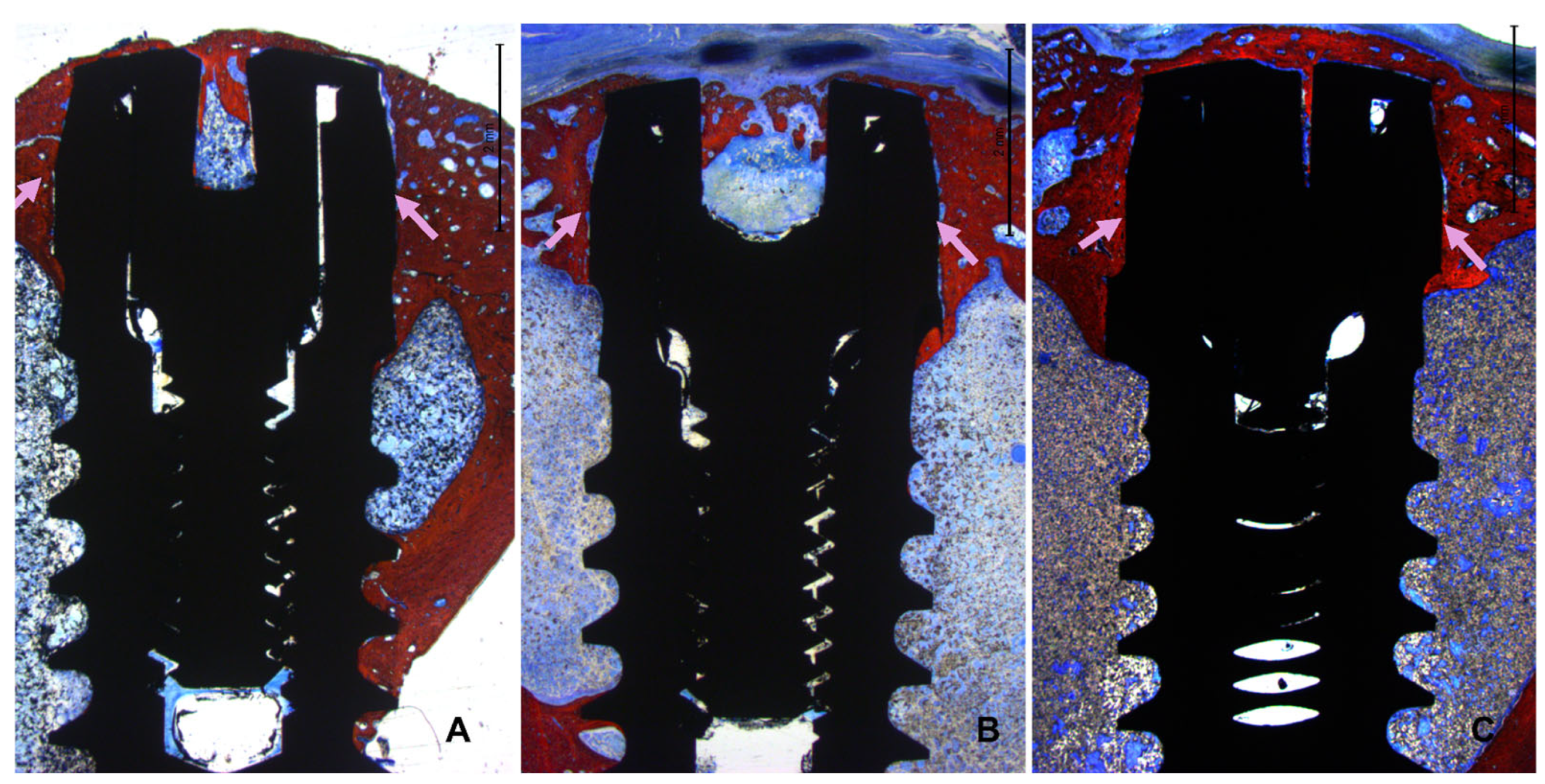 Bioengineering 11 00835 g007