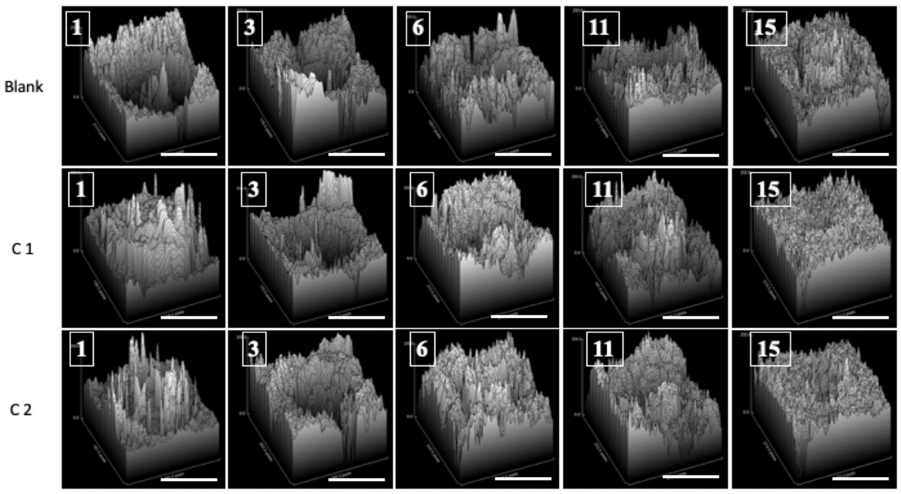 Bioengineering 11 00837 g003