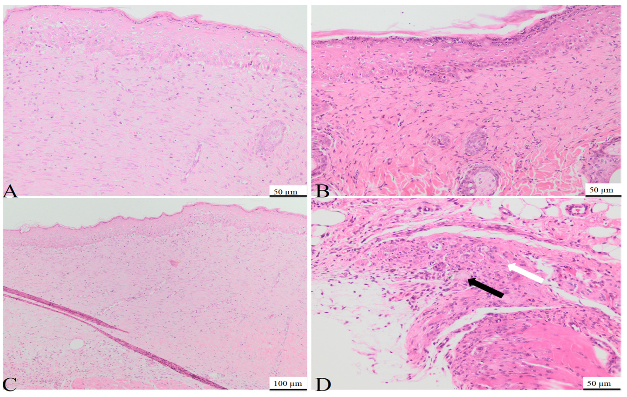 Bioengineering 11 00837 g006