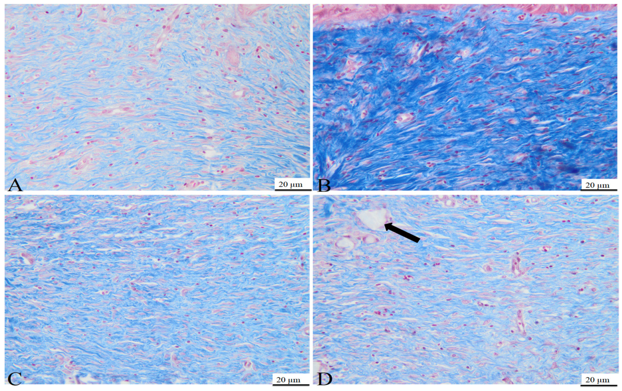 Bioengineering 11 00837 g007