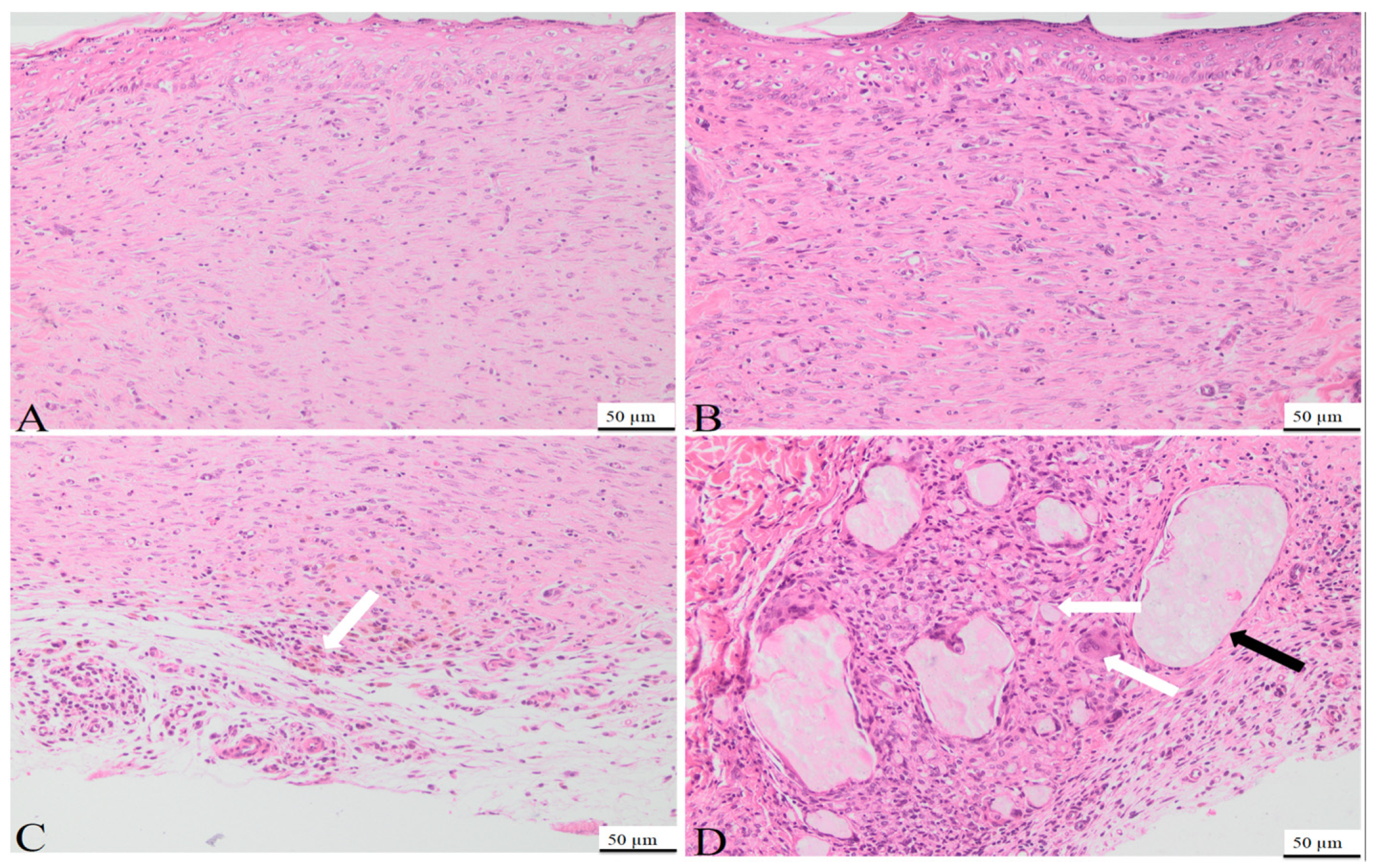 Bioengineering 11 00837 g009