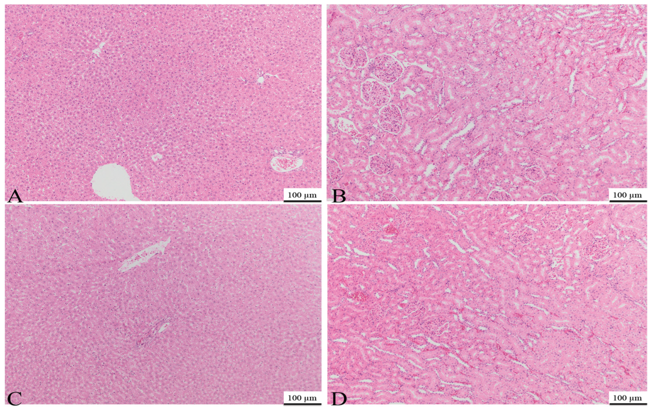 Bioengineering 11 00837 g010