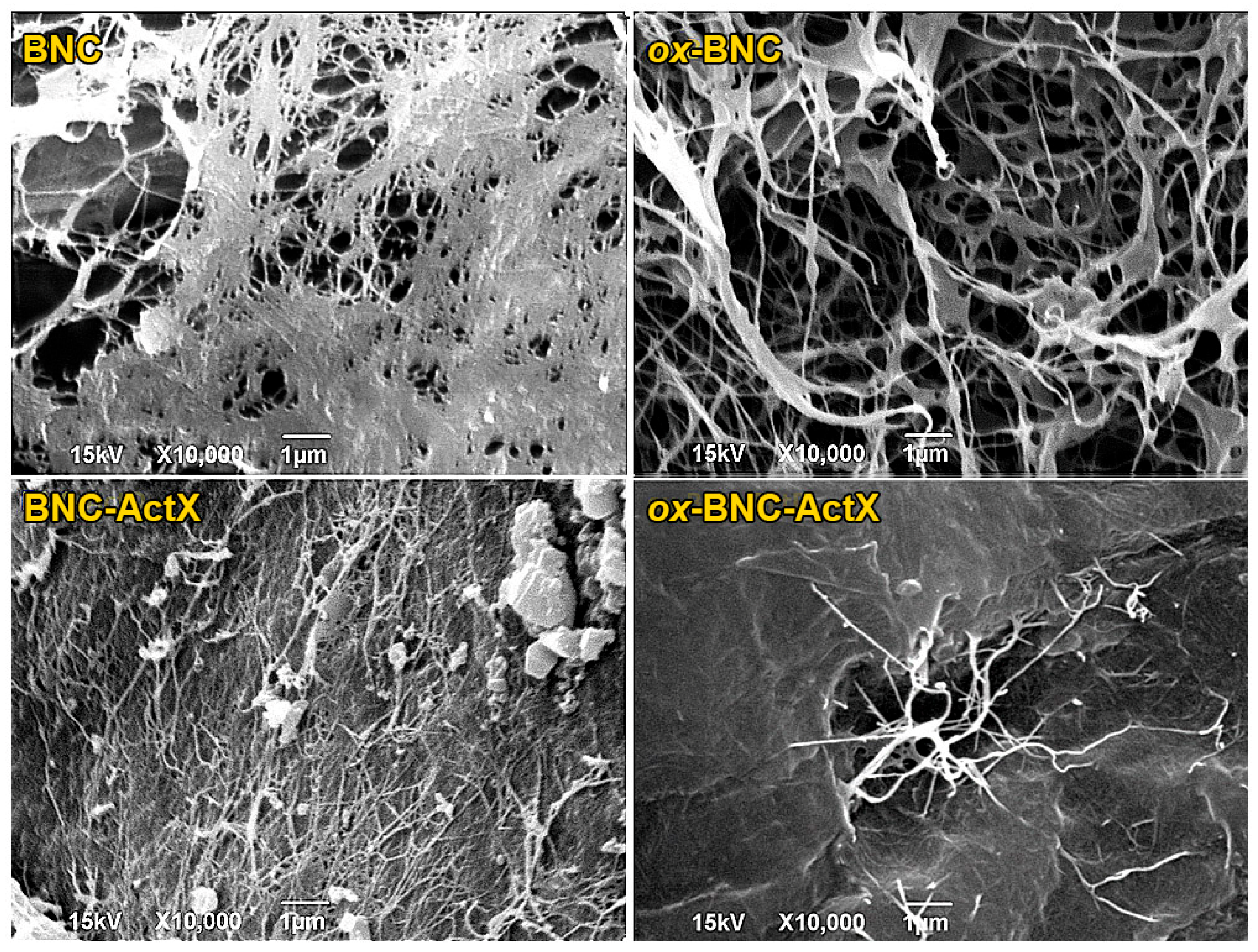 Bioengineering 11 00847 g003