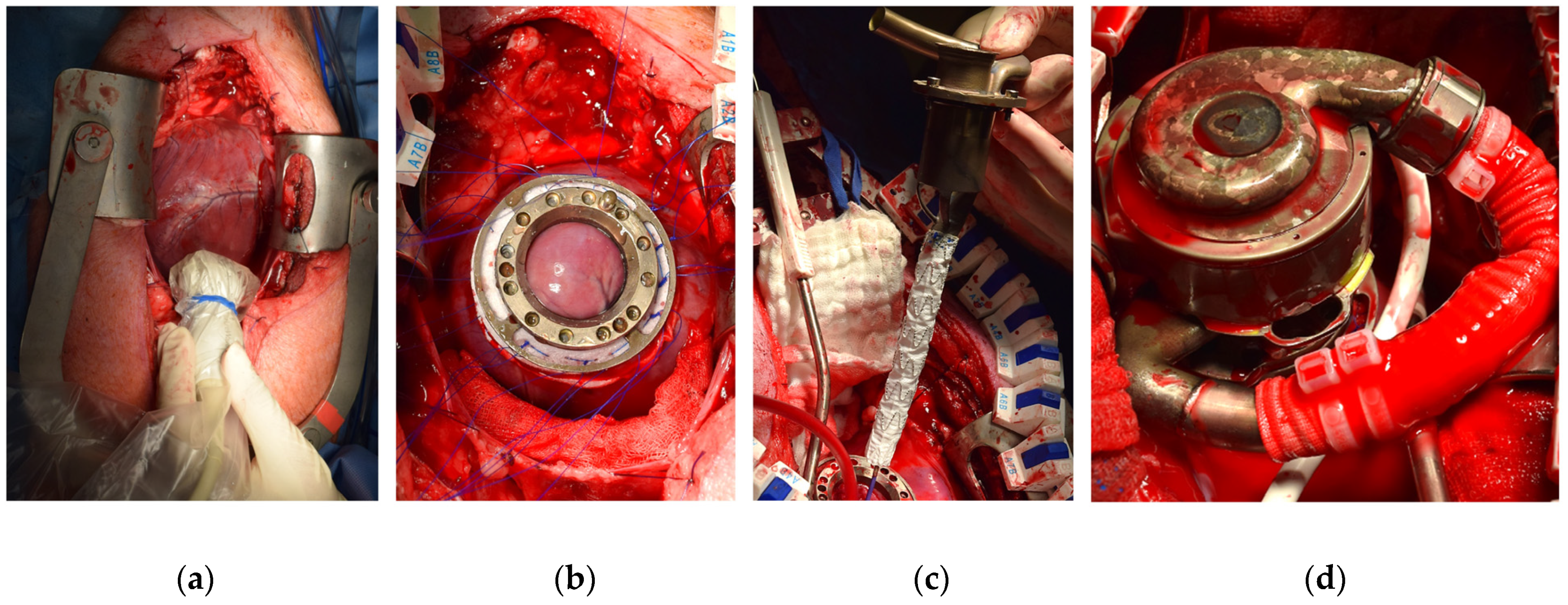Bioengineering 11 00848 g003 Bioengineering 11 00848 g003