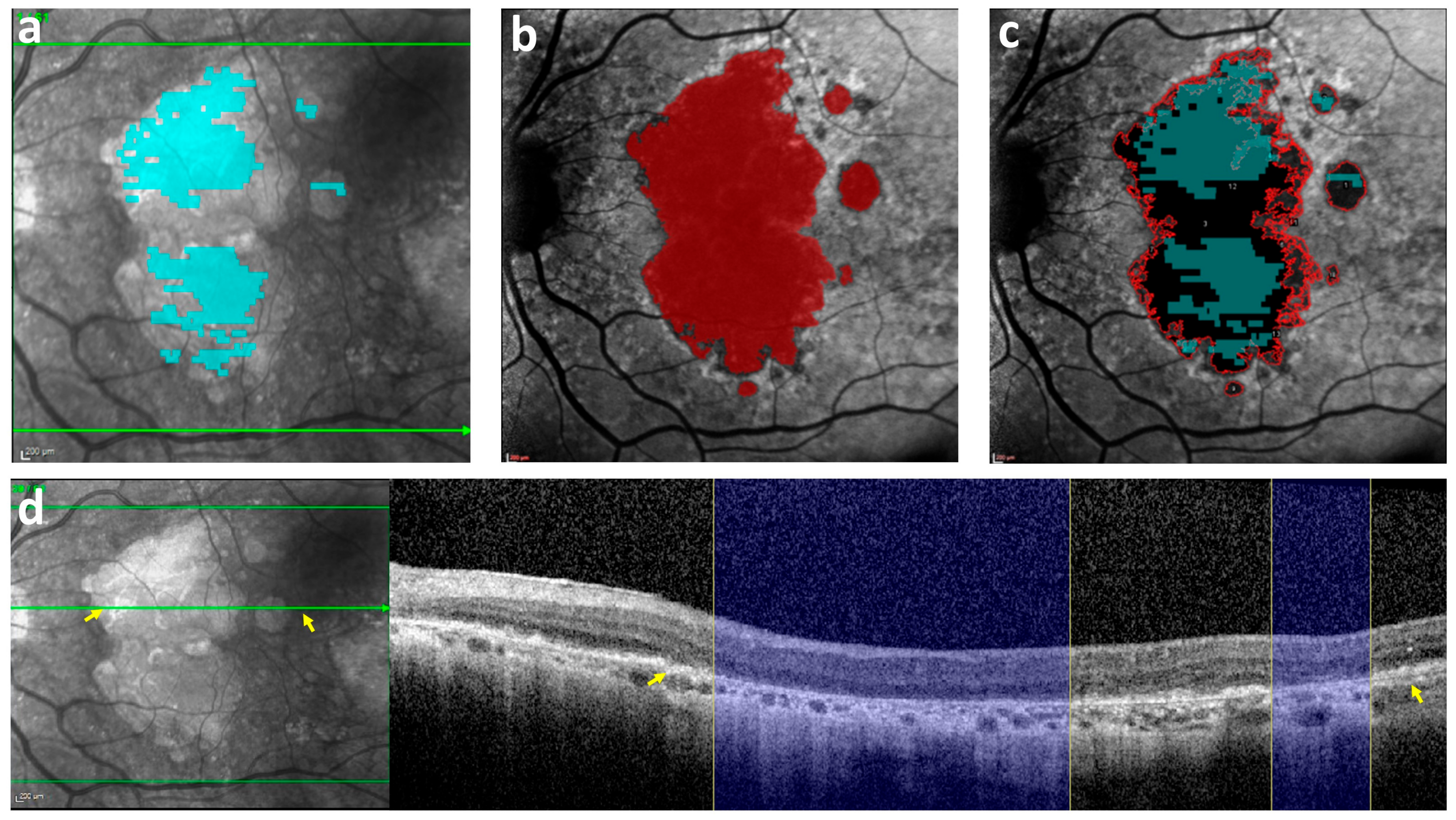 Bioengineering 11 00849 g002