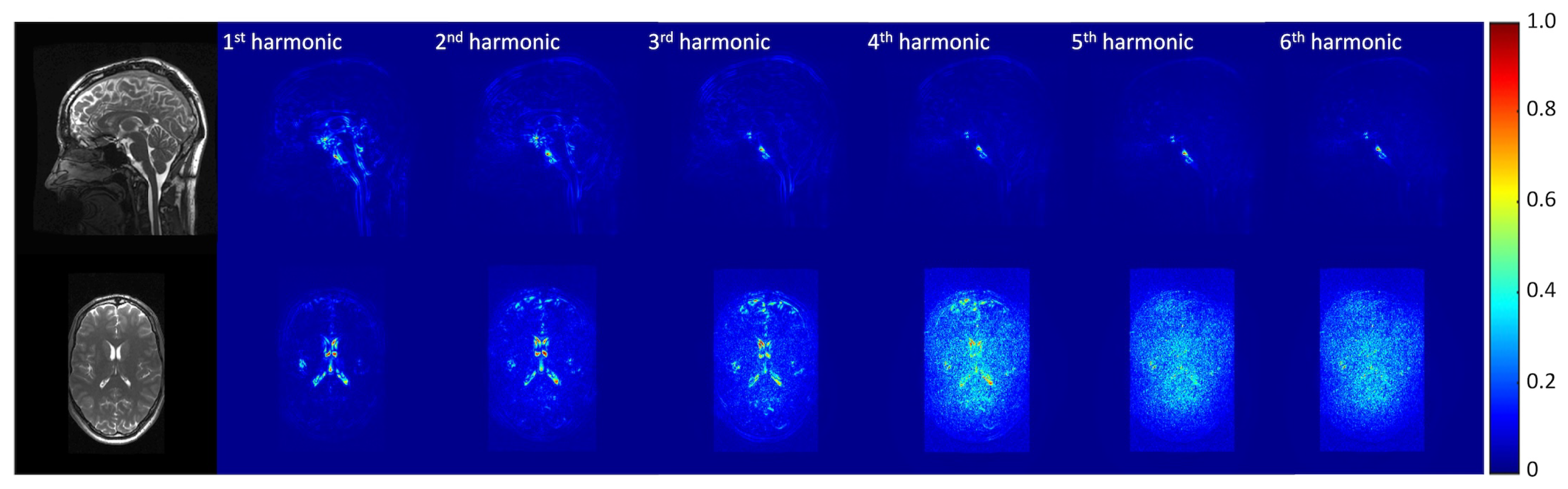 Bioengineering 11 00851 g005