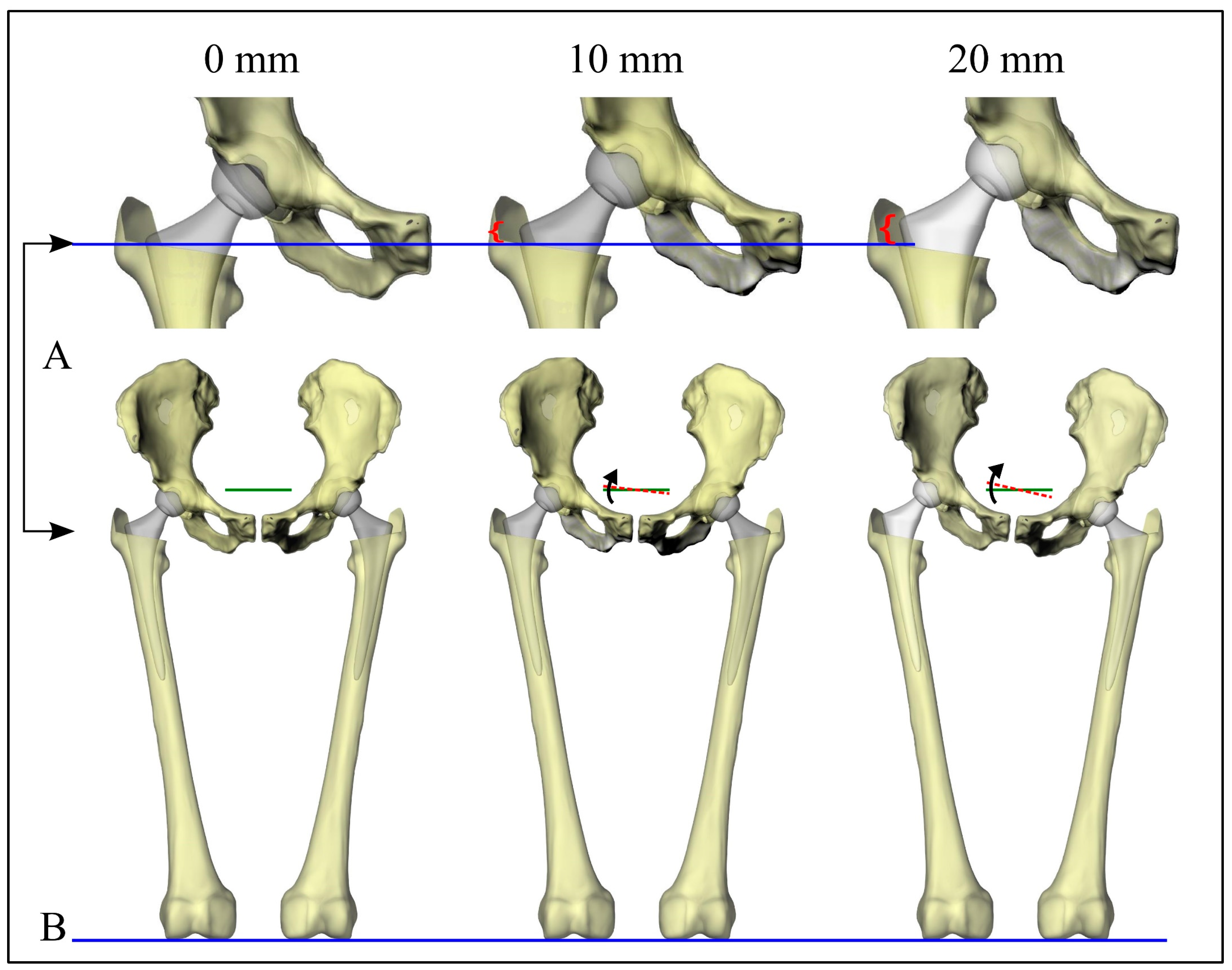 Bioengineering 11 00853 g002