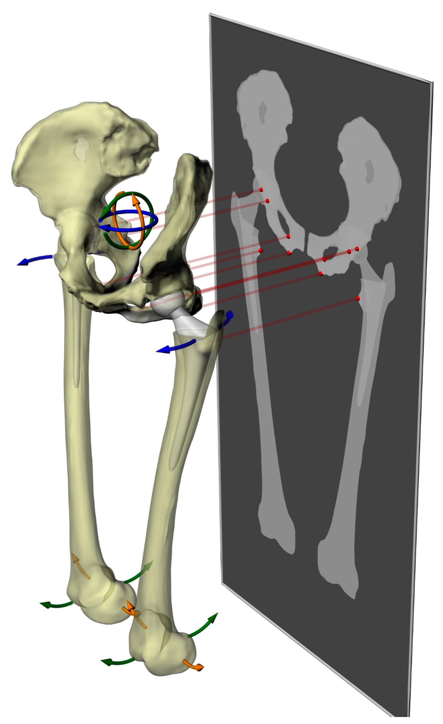 Bioengineering 11 00853 g003