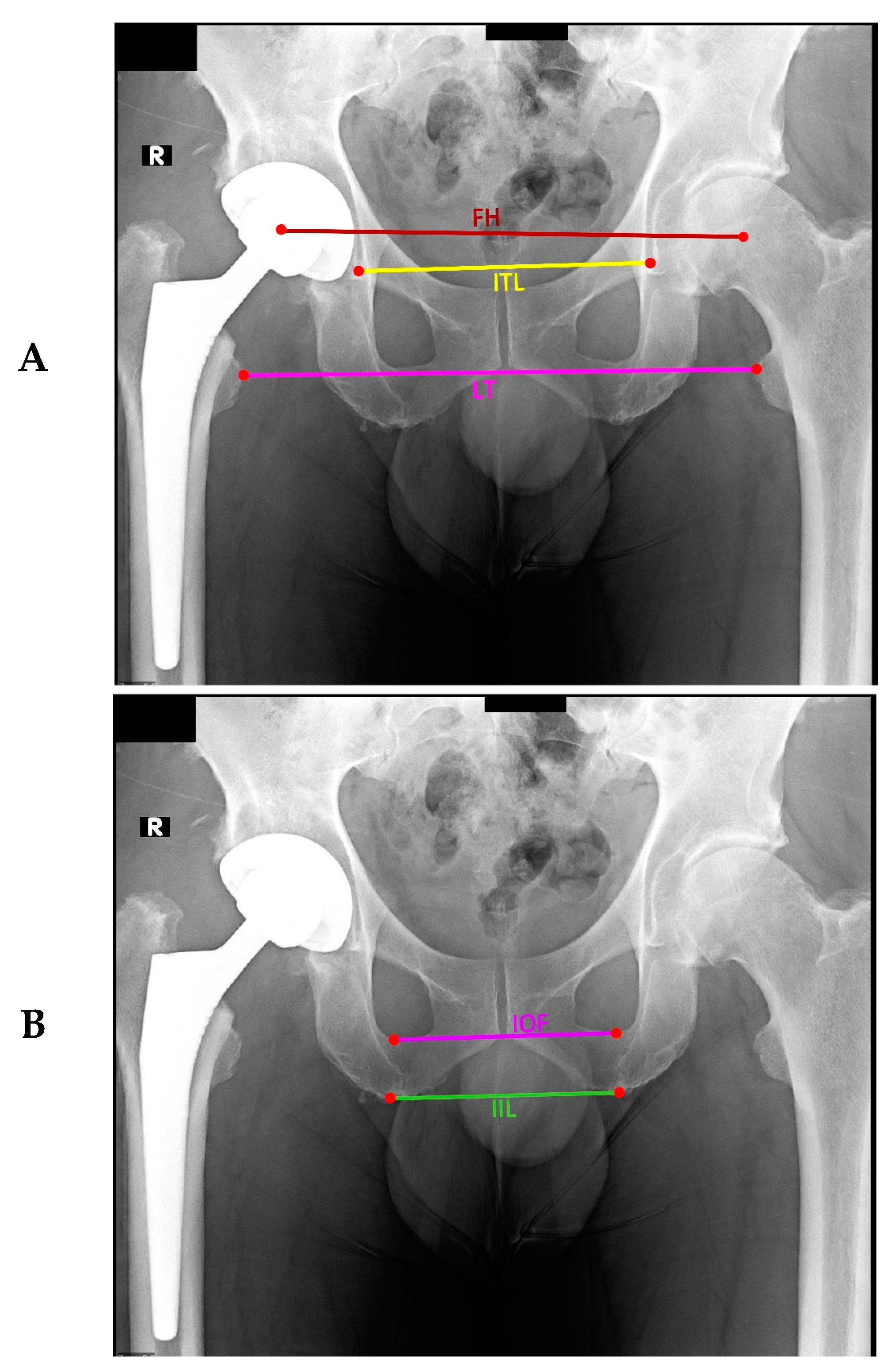 Bioengineering 11 00853 g004