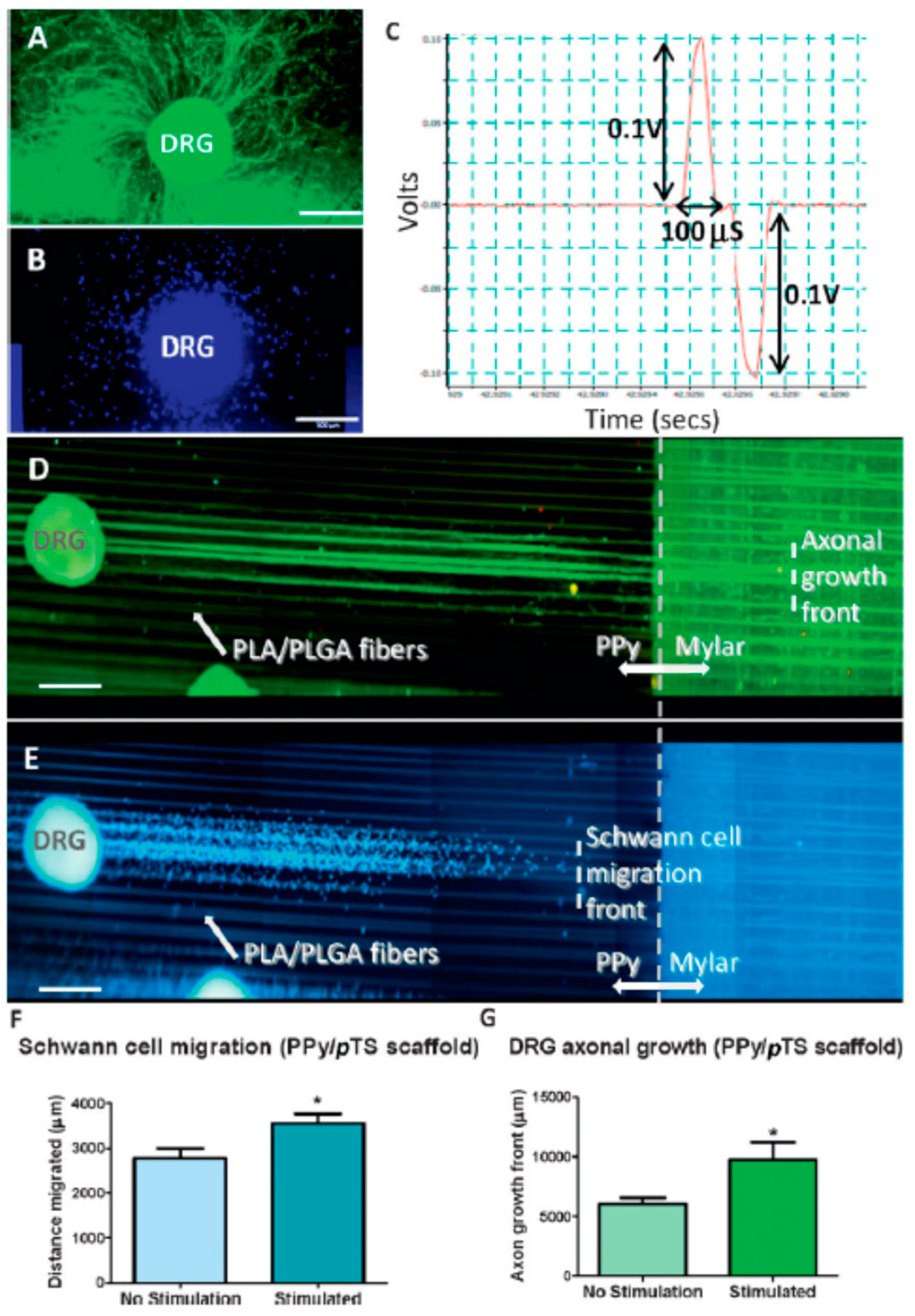 Bioengineering 11 00856 g001