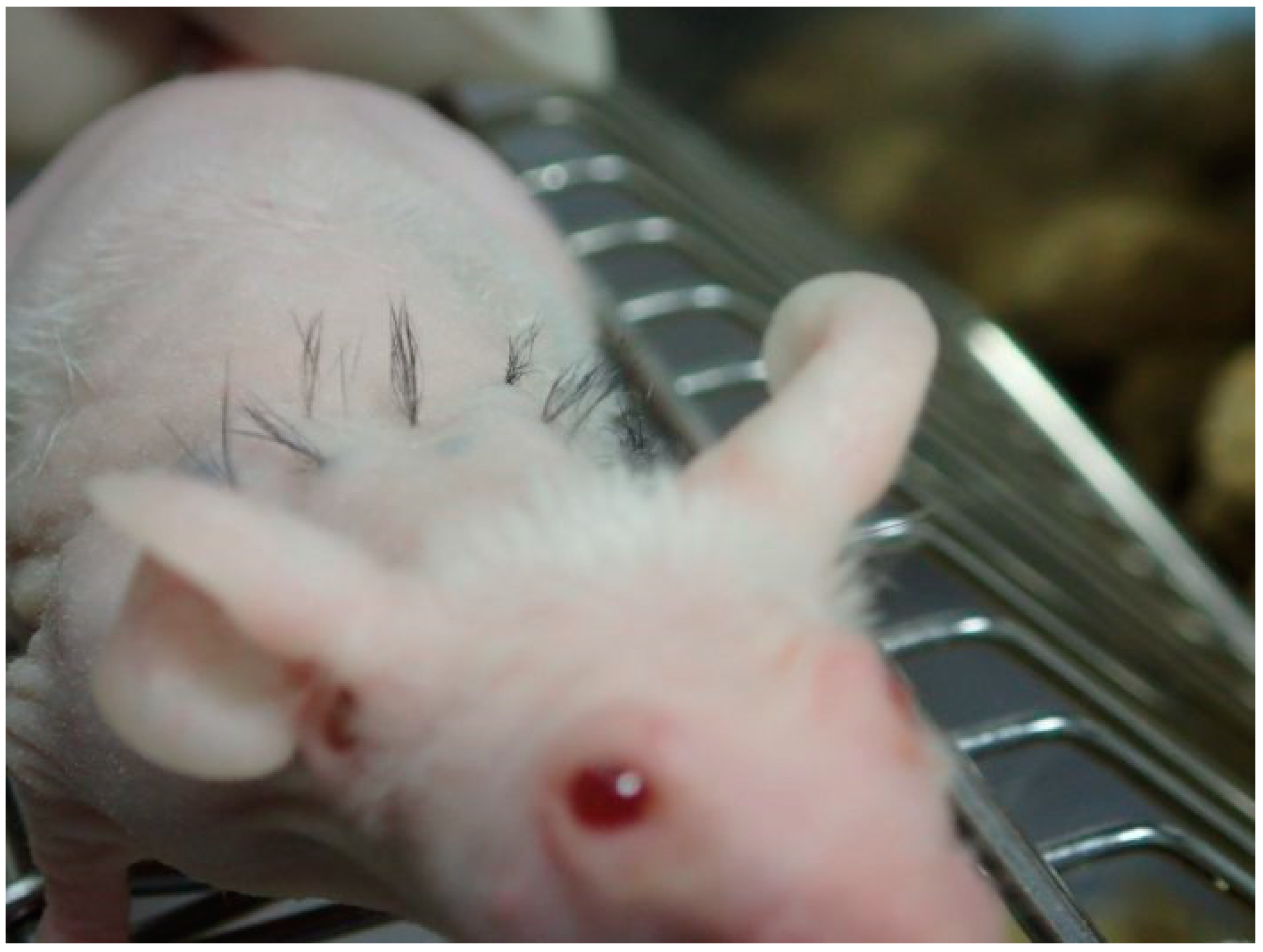 Bioengineering 11 00856 g005