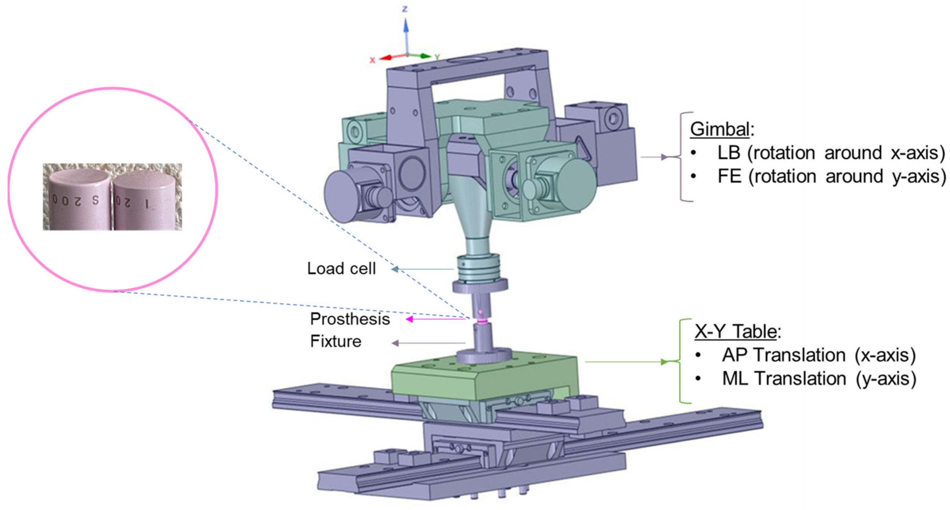 Bioengineering 11 00857 g001