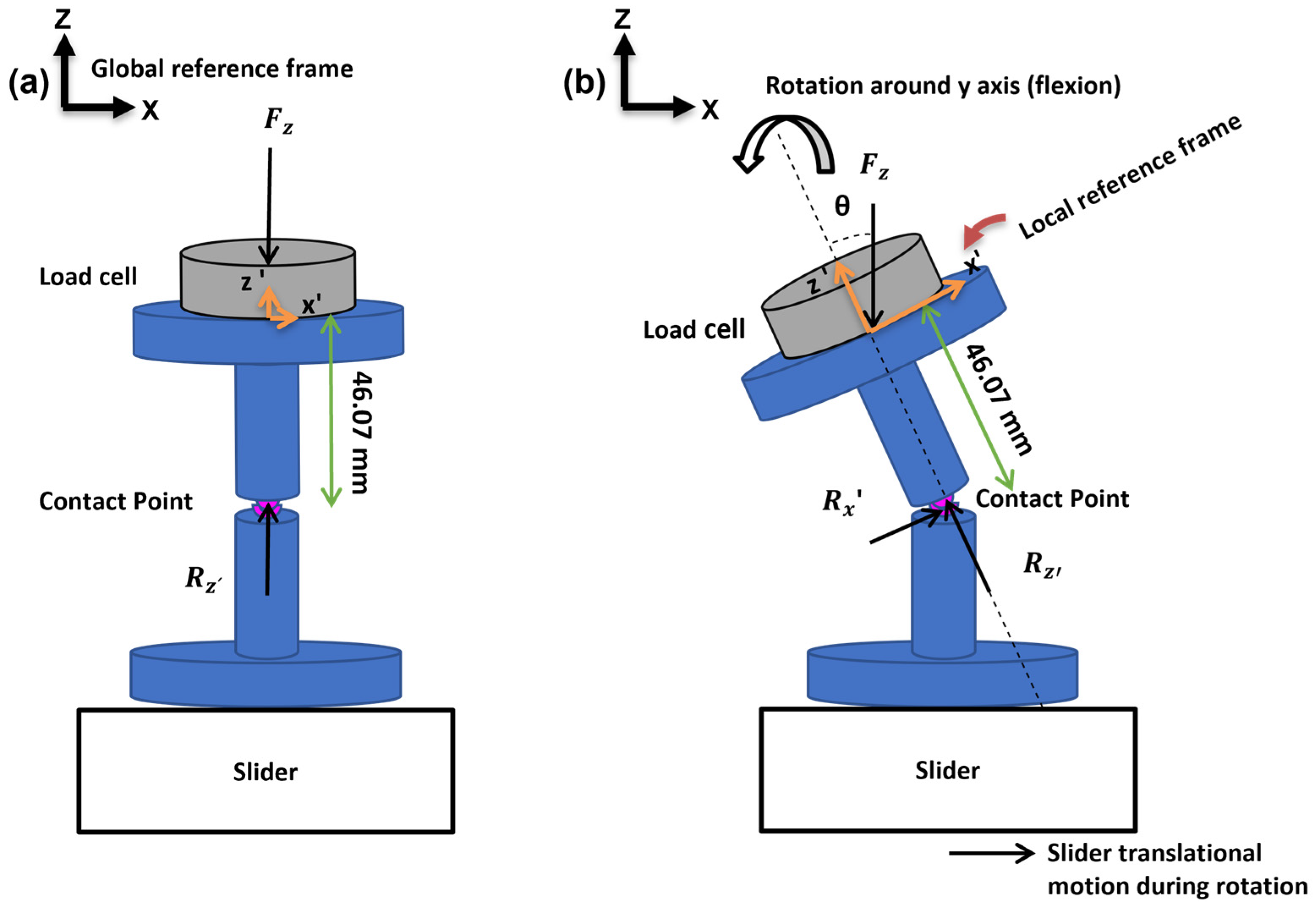 Bioengineering 11 00857 g005