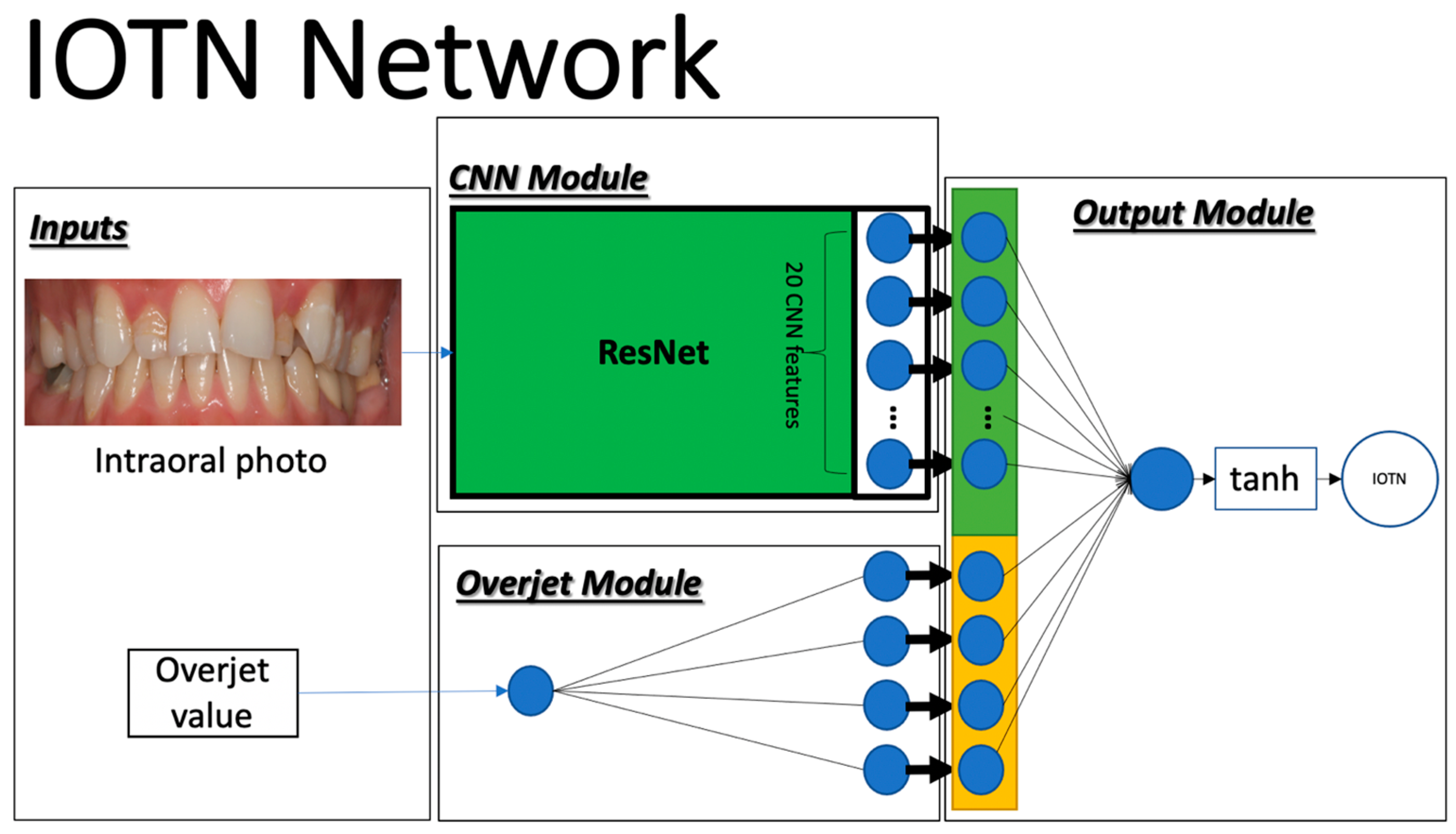 Bioengineering 11 00861 g001
