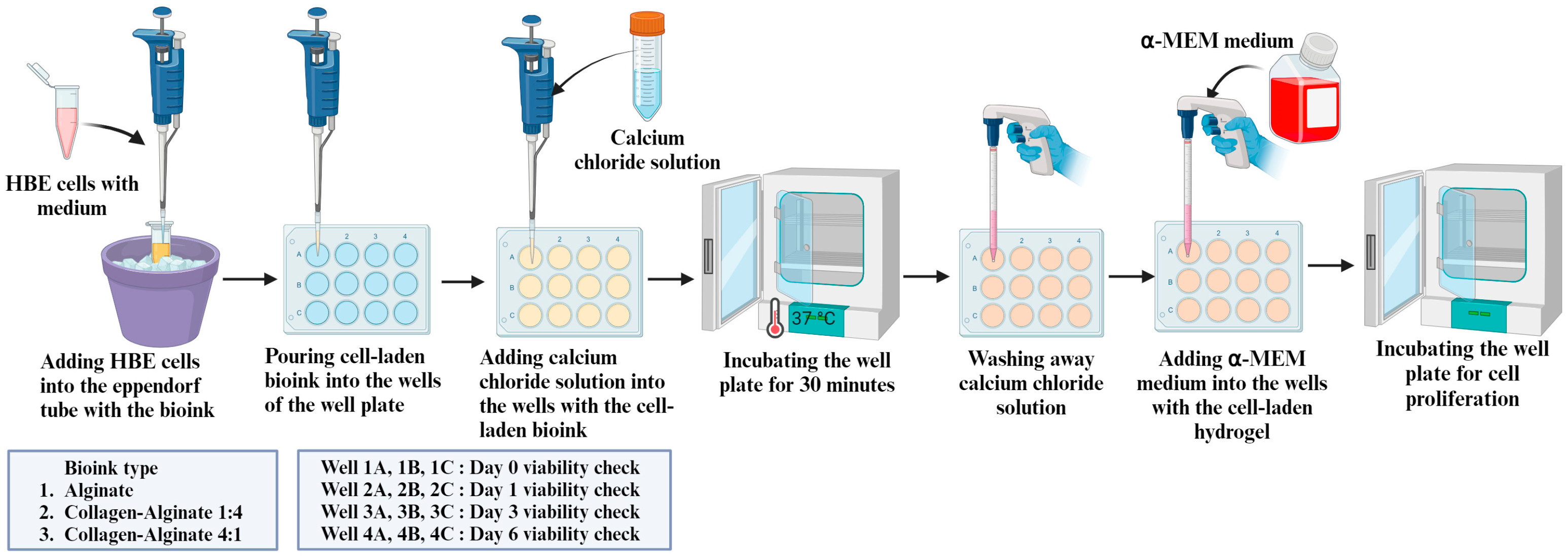 Bioengineering 11 00862 g002