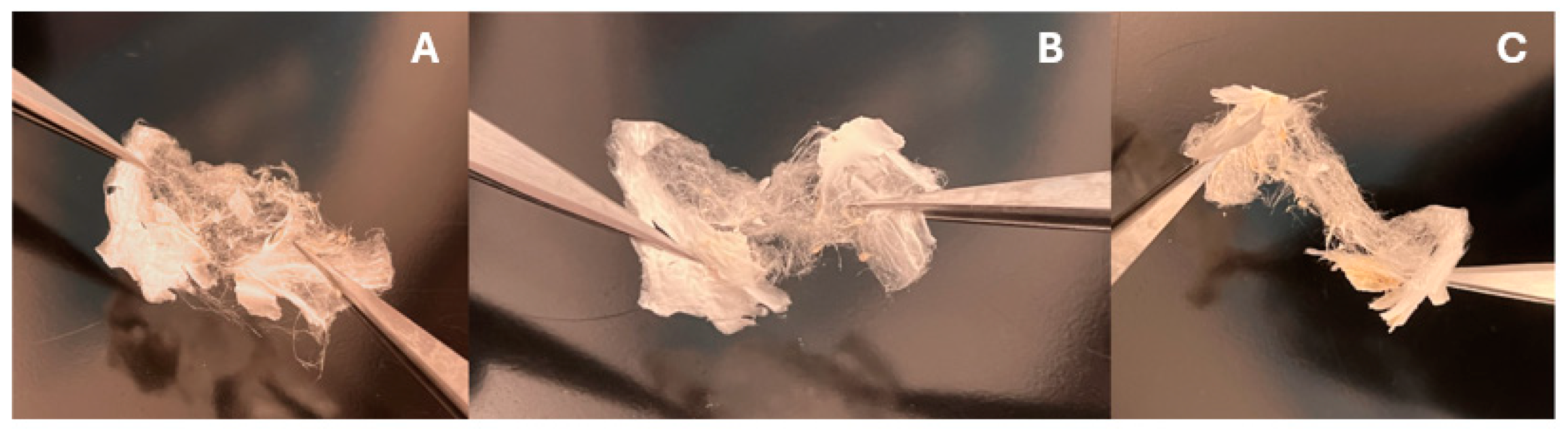 Bioengineering 11 00864 g002