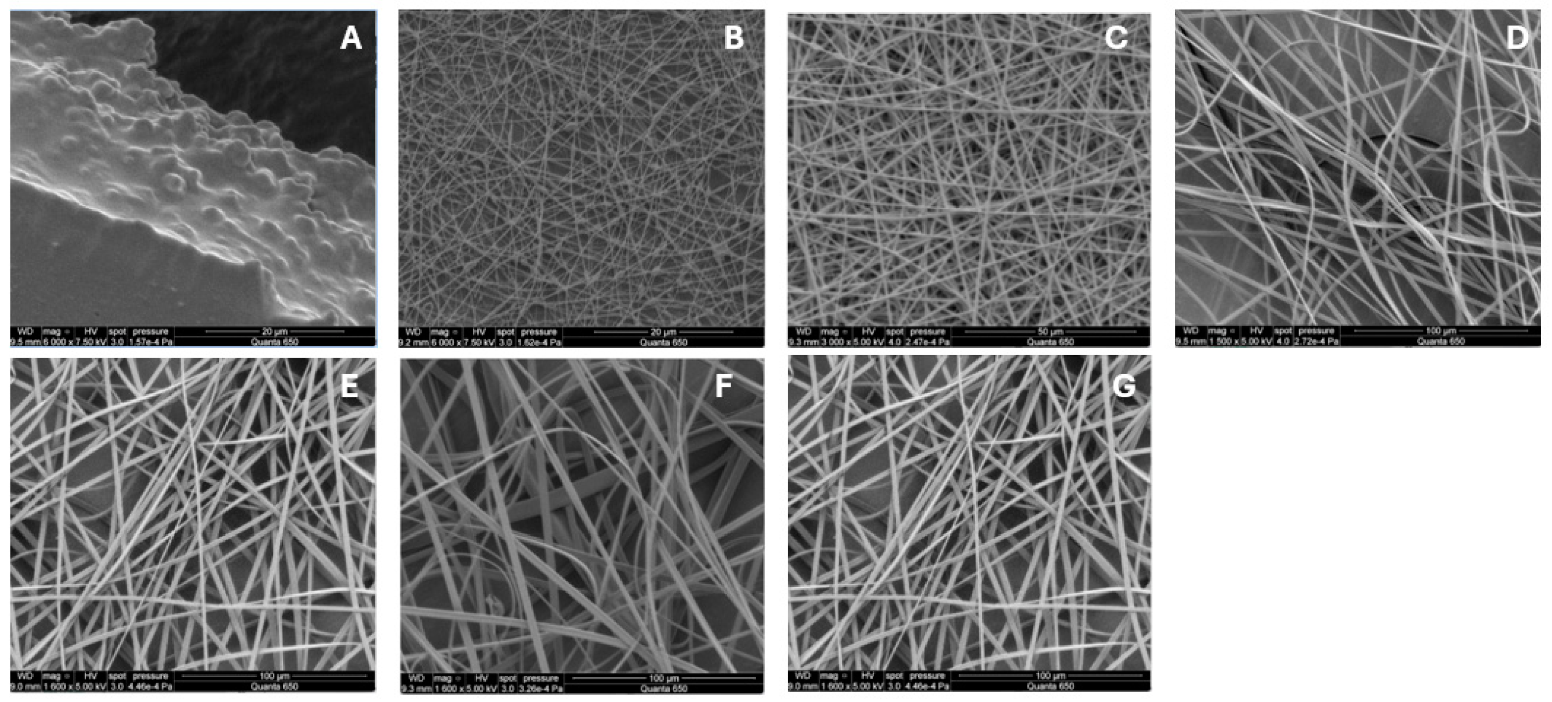 Bioengineering 11 00864 g004