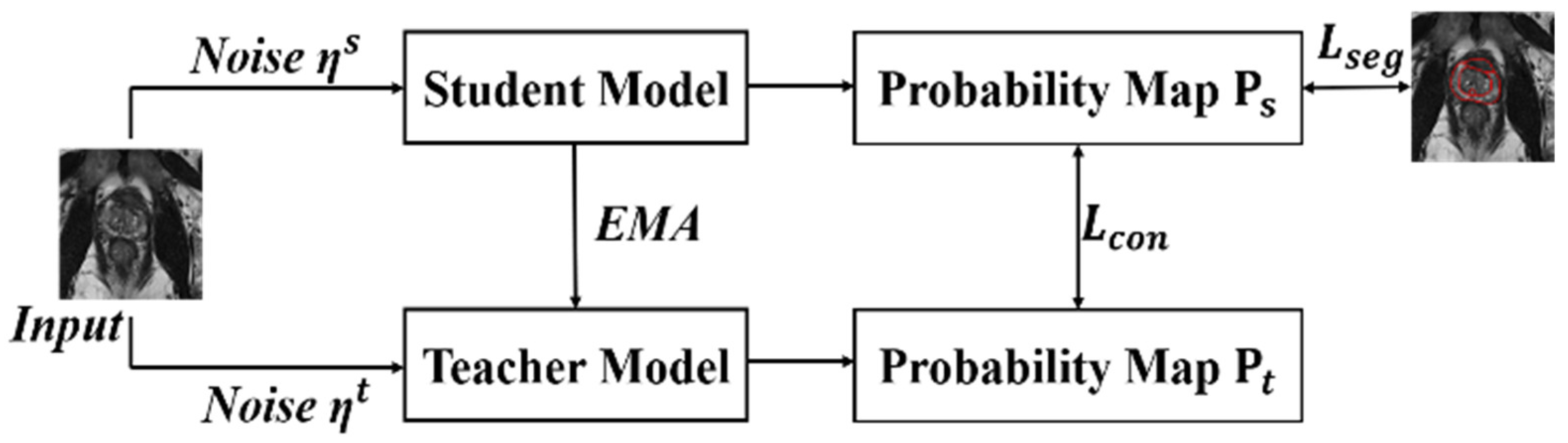 Bioengineering 11 00865 g004