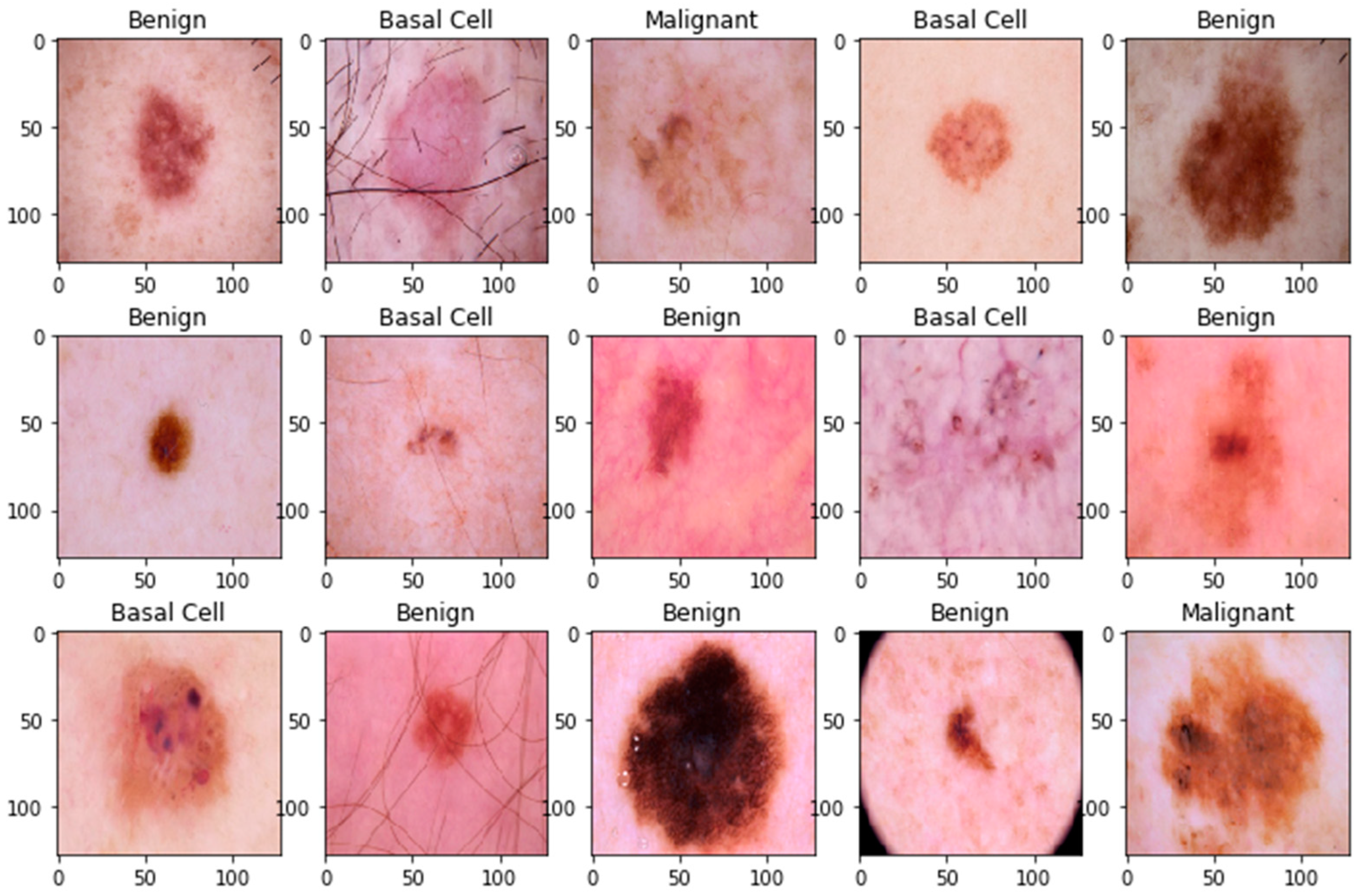 Bioengineering 11 00867 g002