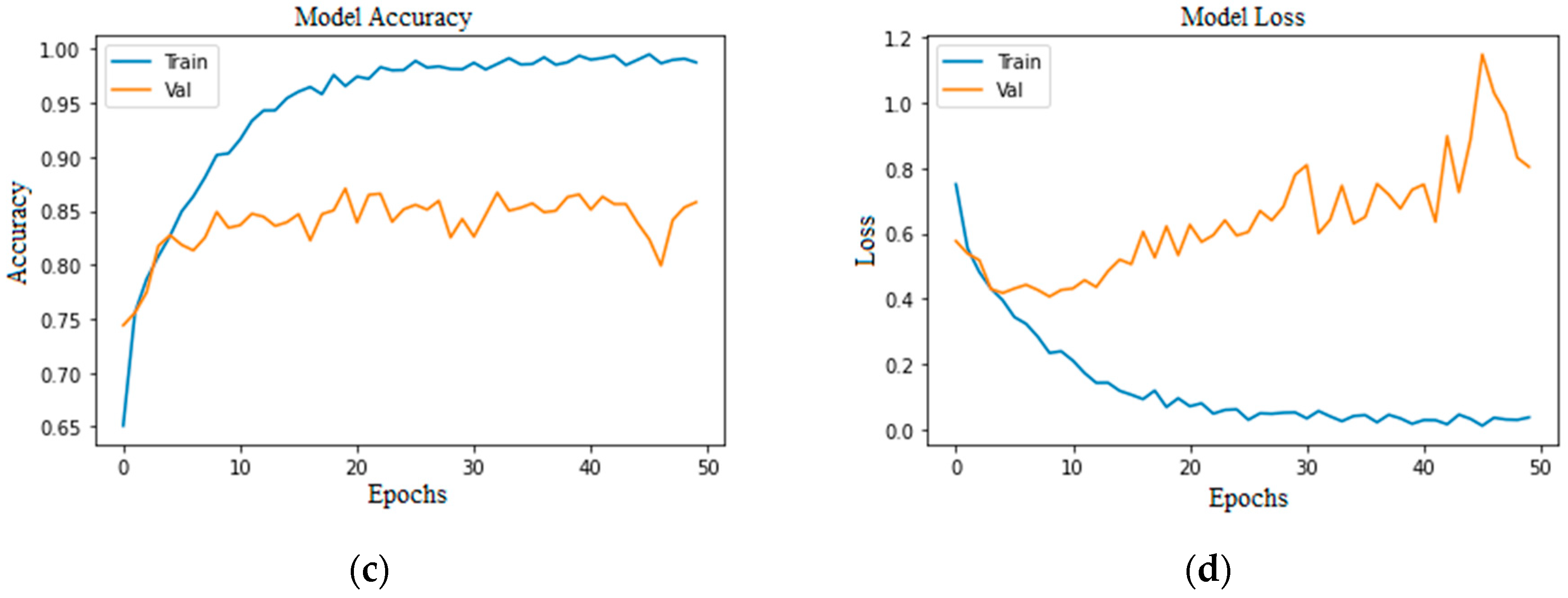 Bioengineering 11 00867 g005b