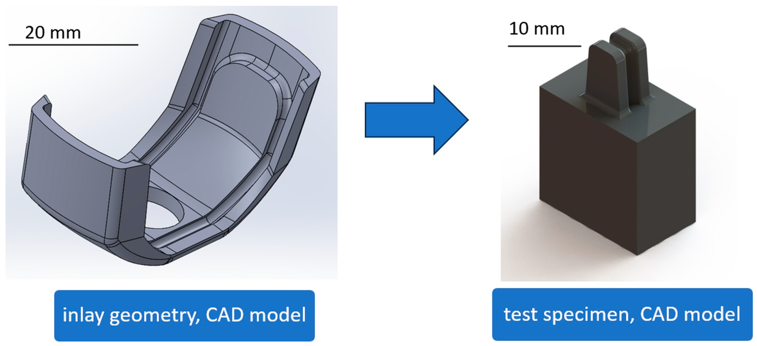 Bioengineering 11 00868 g002