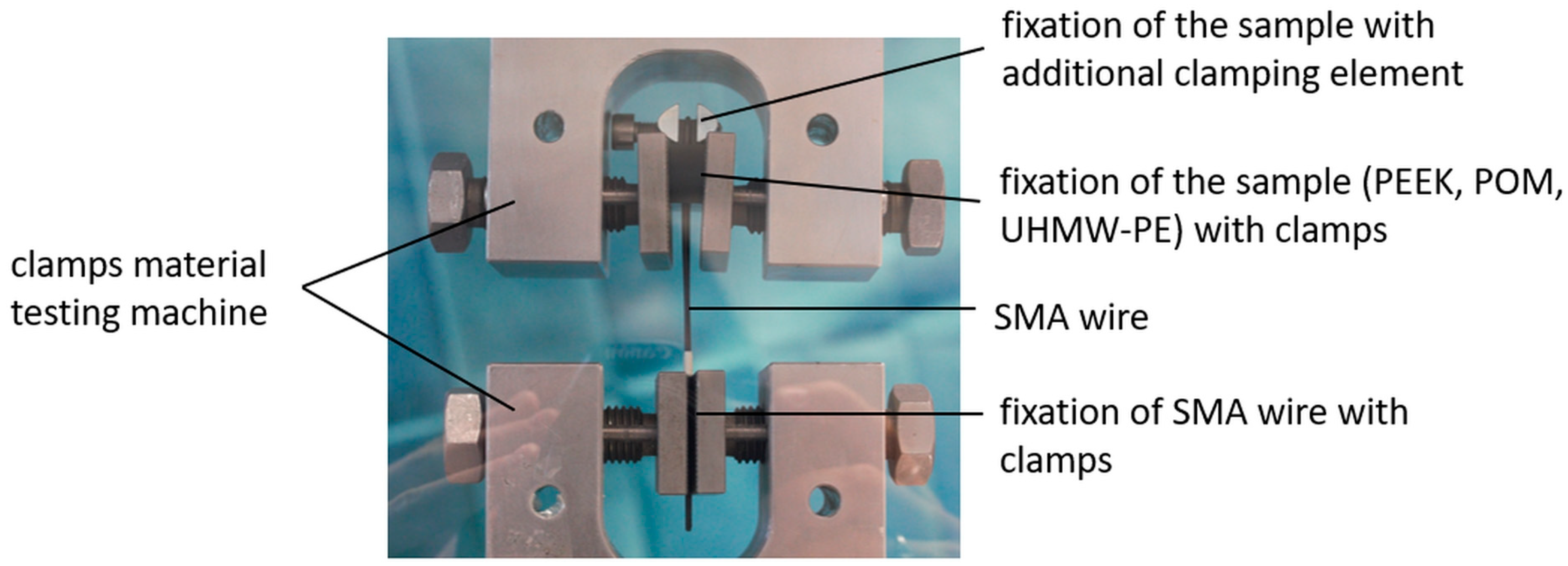 Bioengineering 11 00868 g004