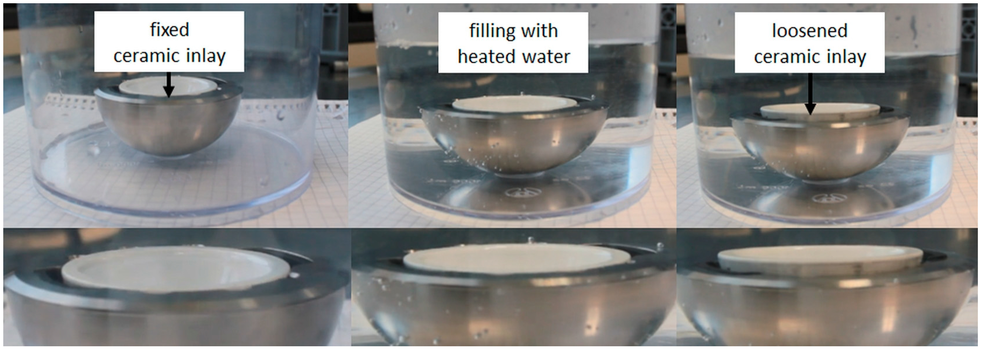 Bioengineering 11 00868 g012