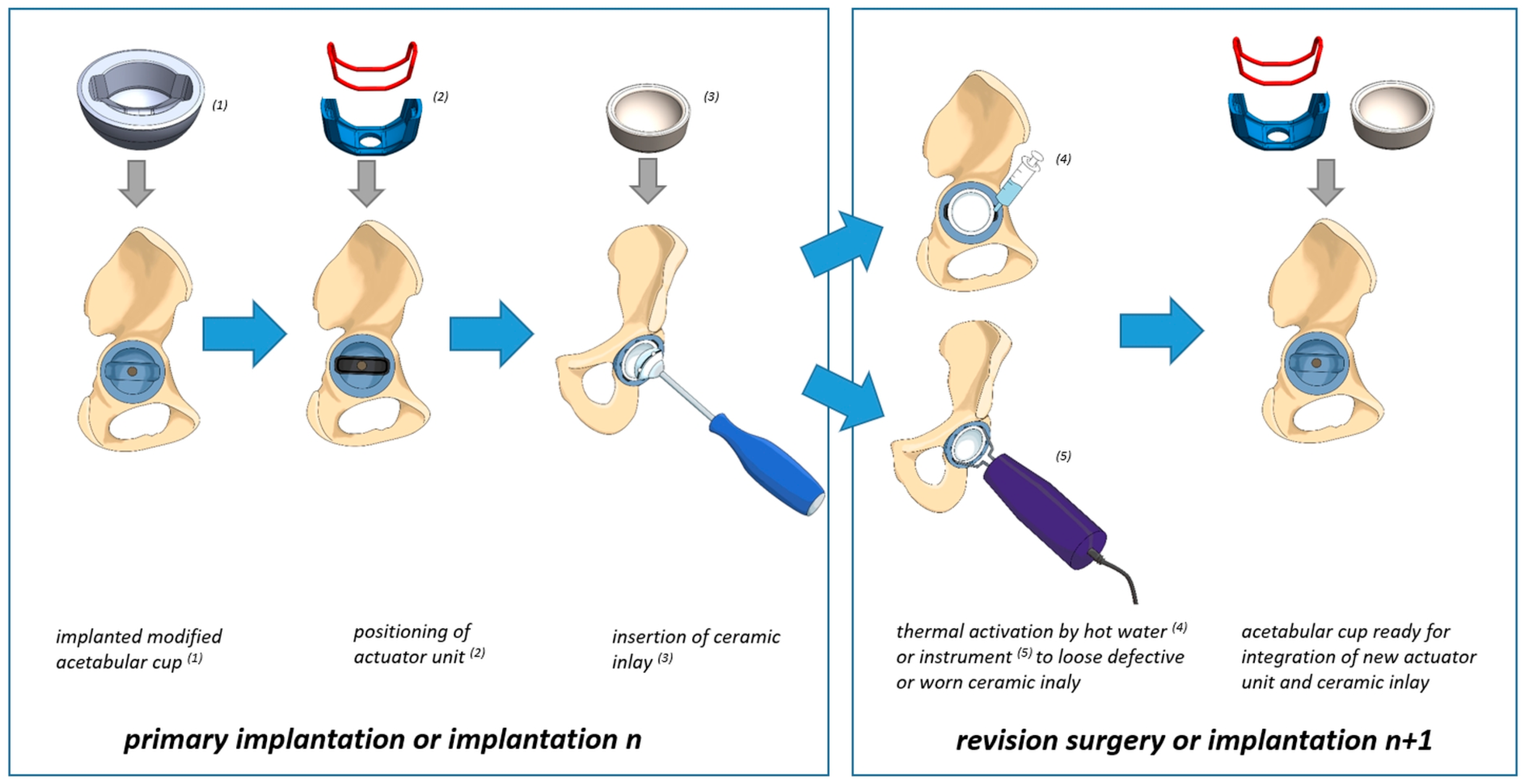 Bioengineering 11 00868 g015