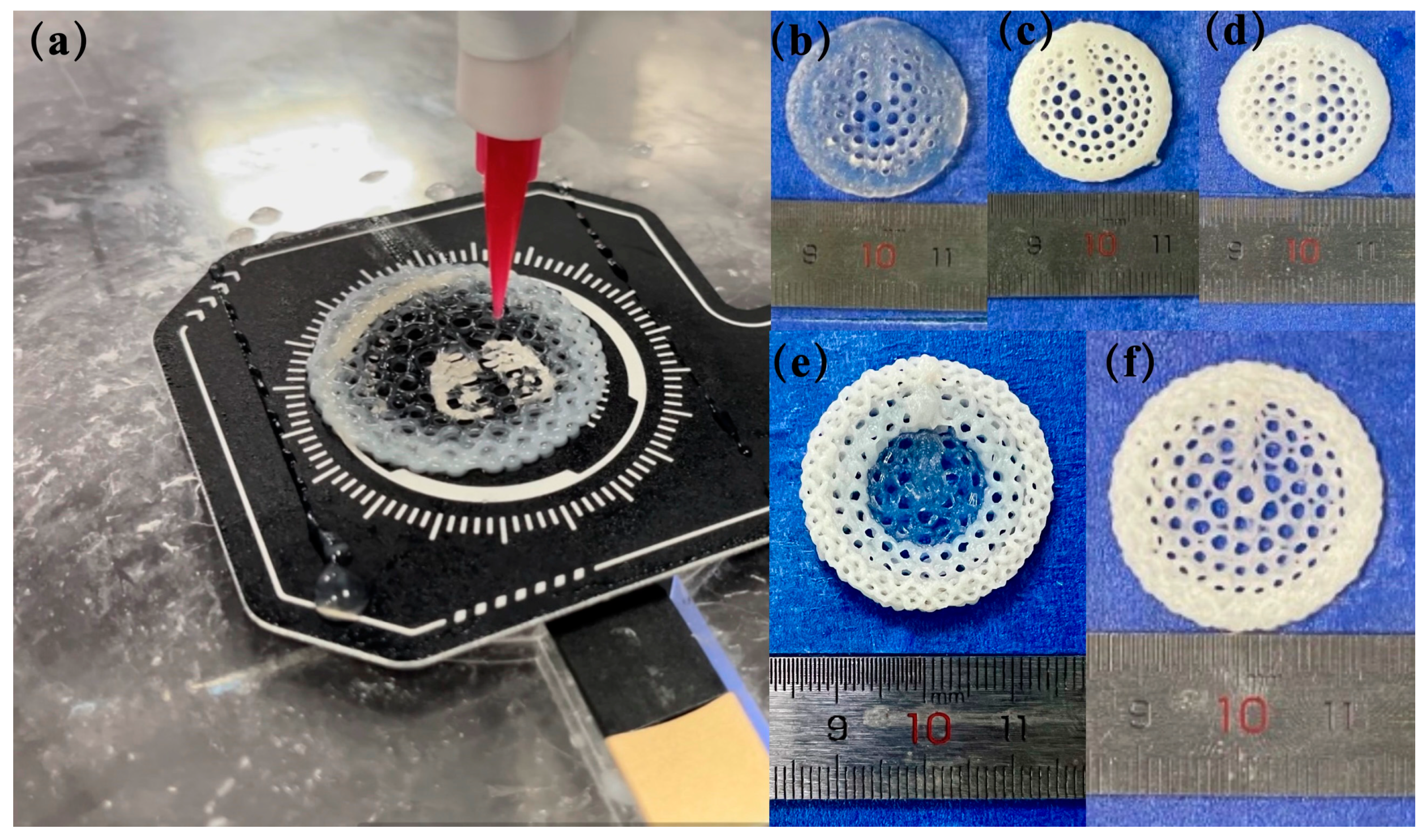 Bioengineering 11 00869 g006 Bioengineering 11 00869 g006