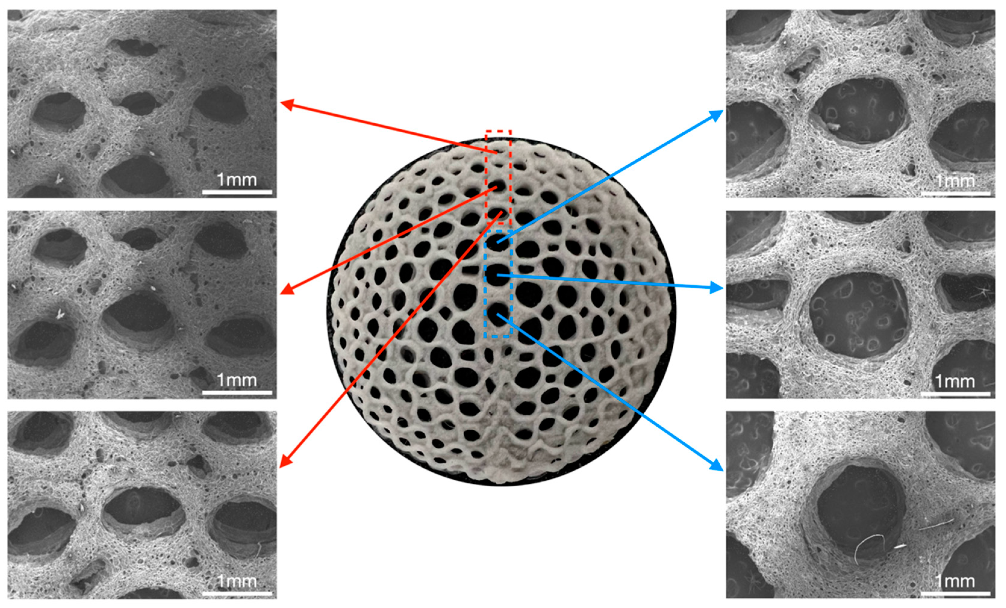 Bioengineering 11 00869 g009 Bioengineering 11 00869 g009