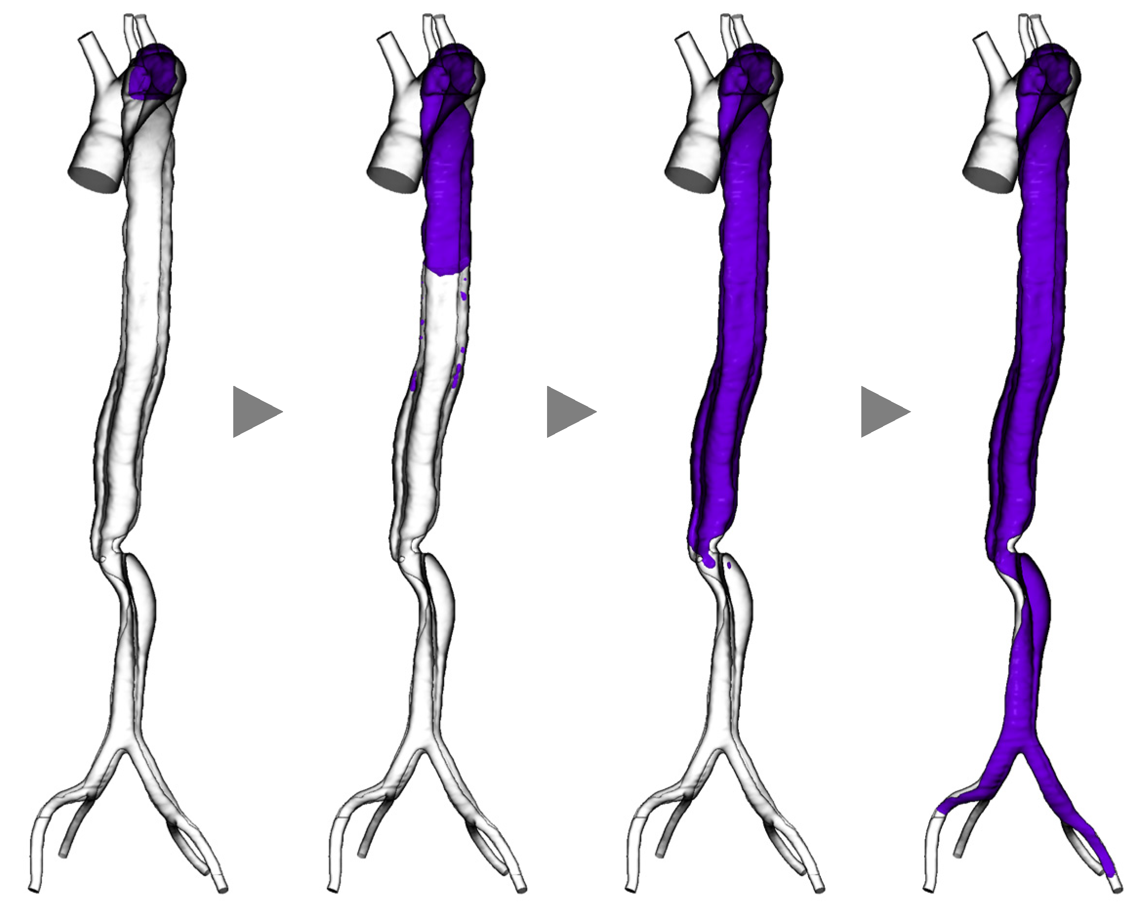 Bioengineering 11 00871 g004 Bioengineering 11 00871 g004