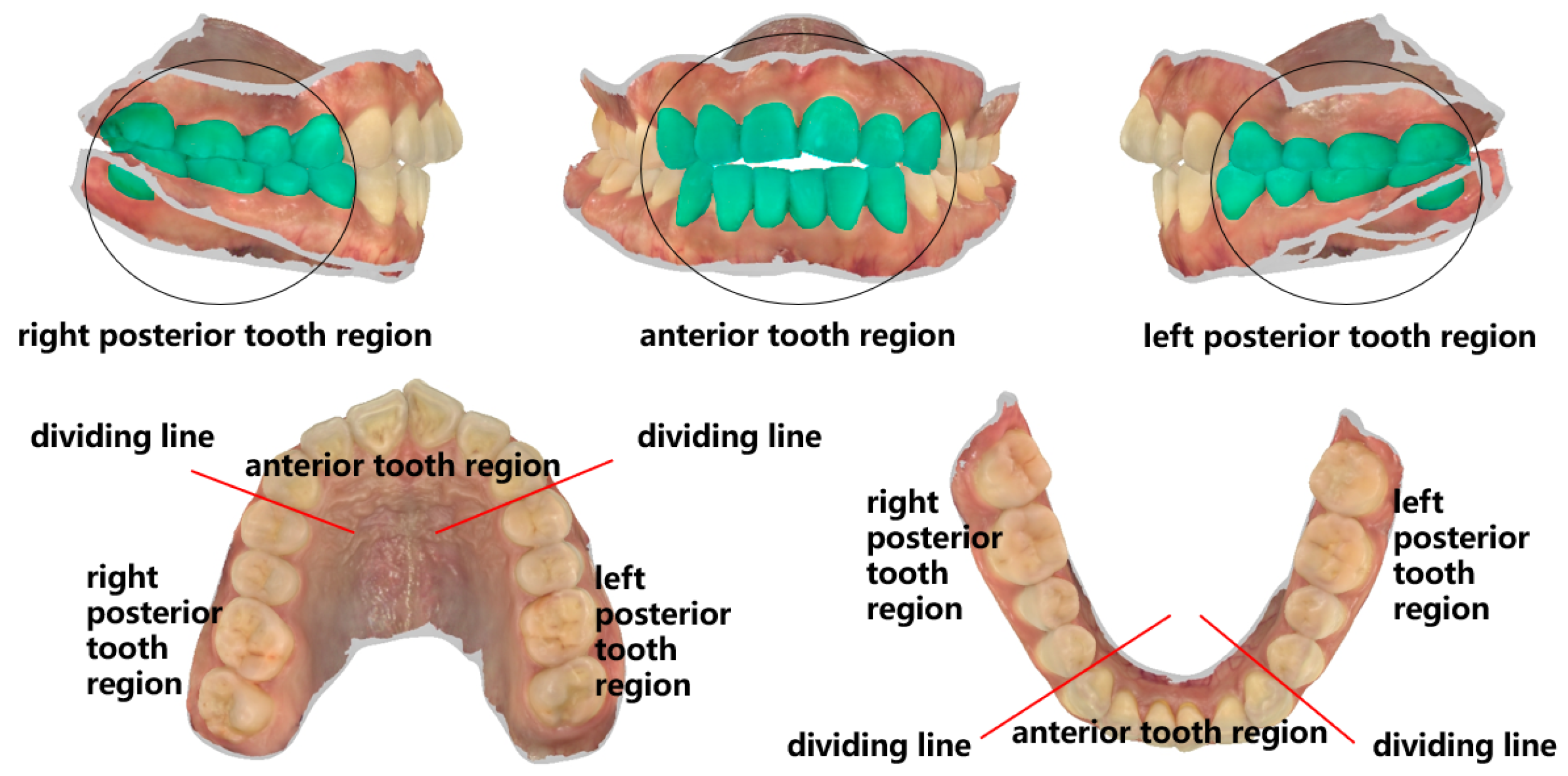Bioengineering 11 00873 g006