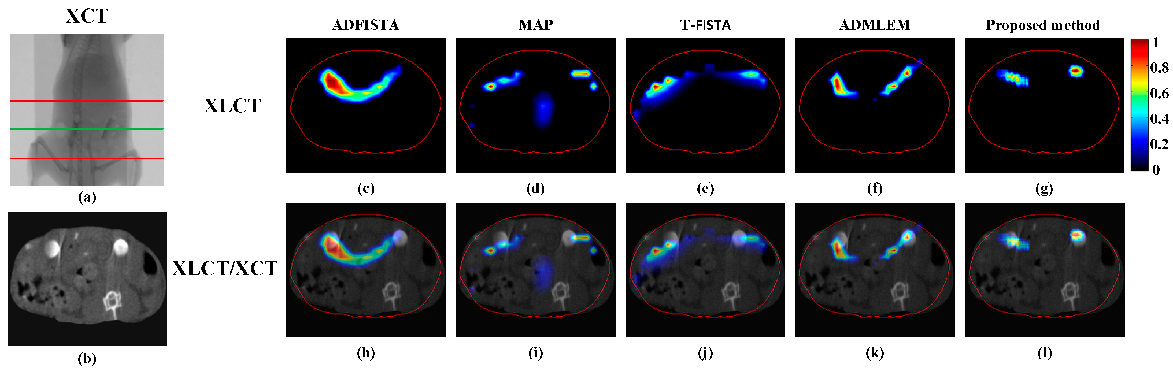 Bioengineering 11 00874 g012